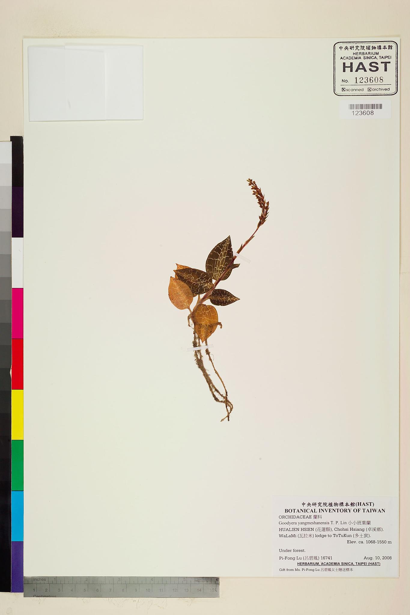 Sample image for viewer