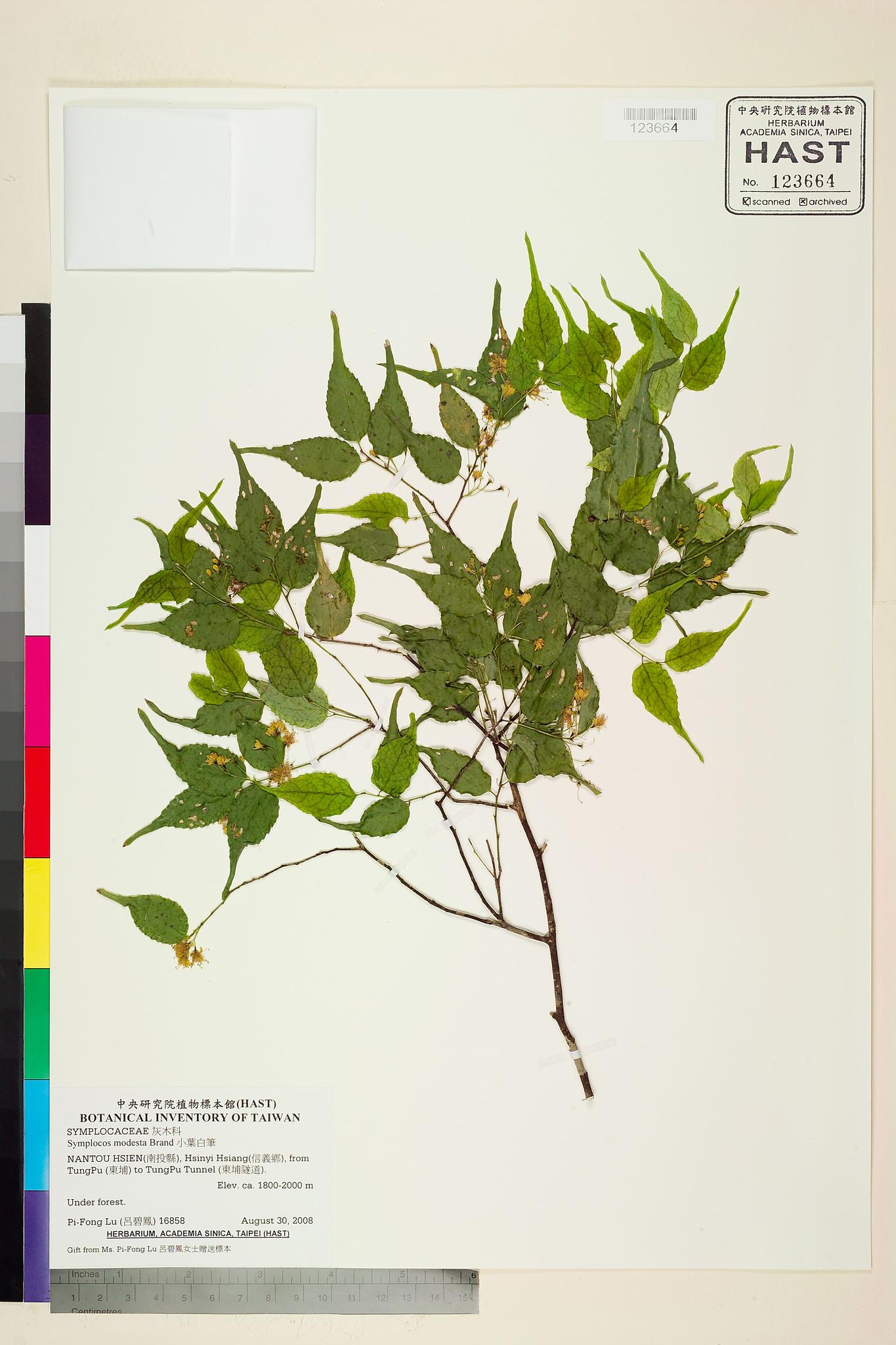 Sample image for viewer