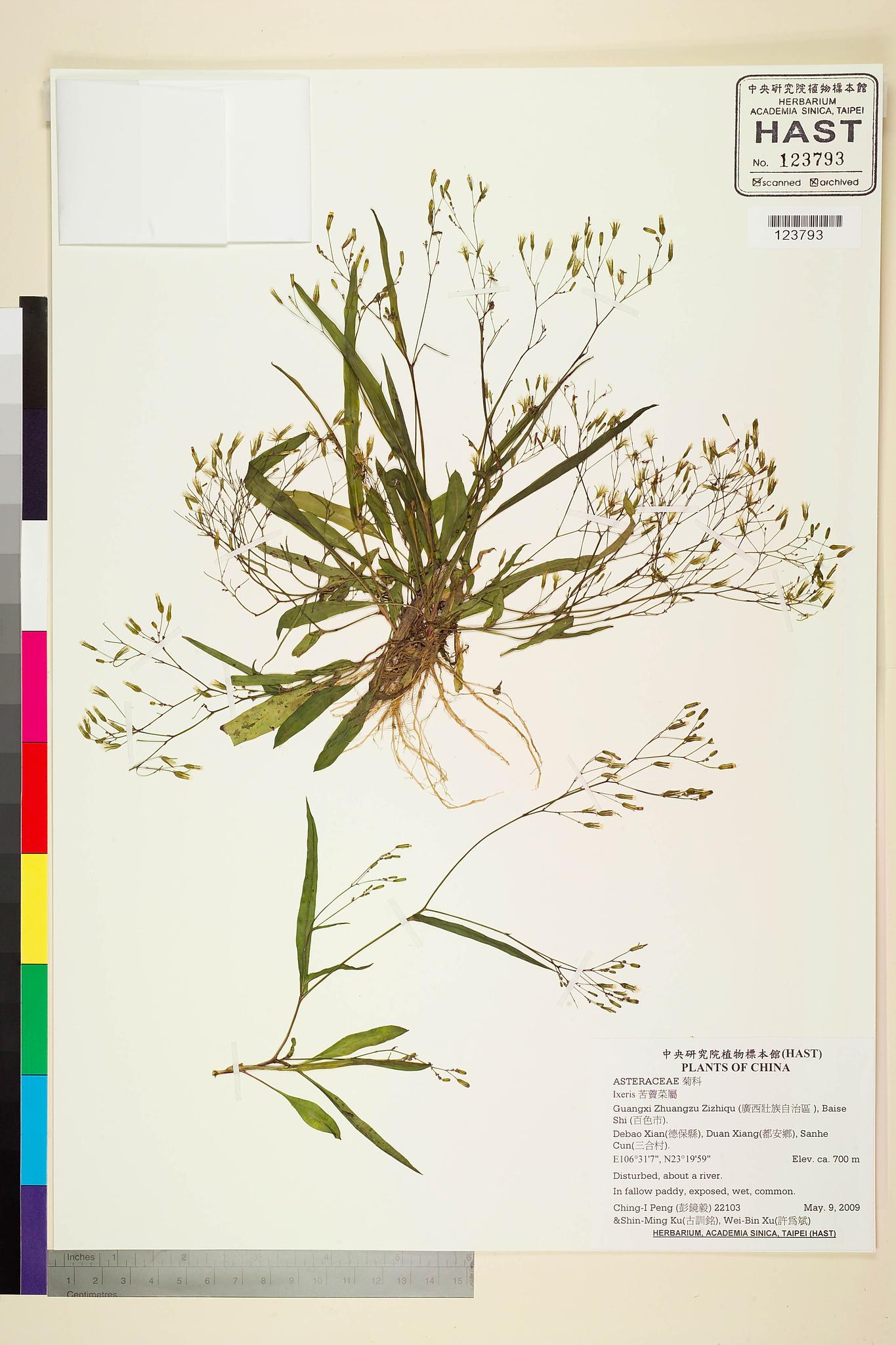 Specimen image