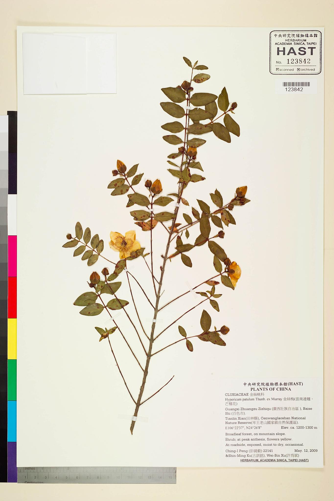 Sample image for viewer