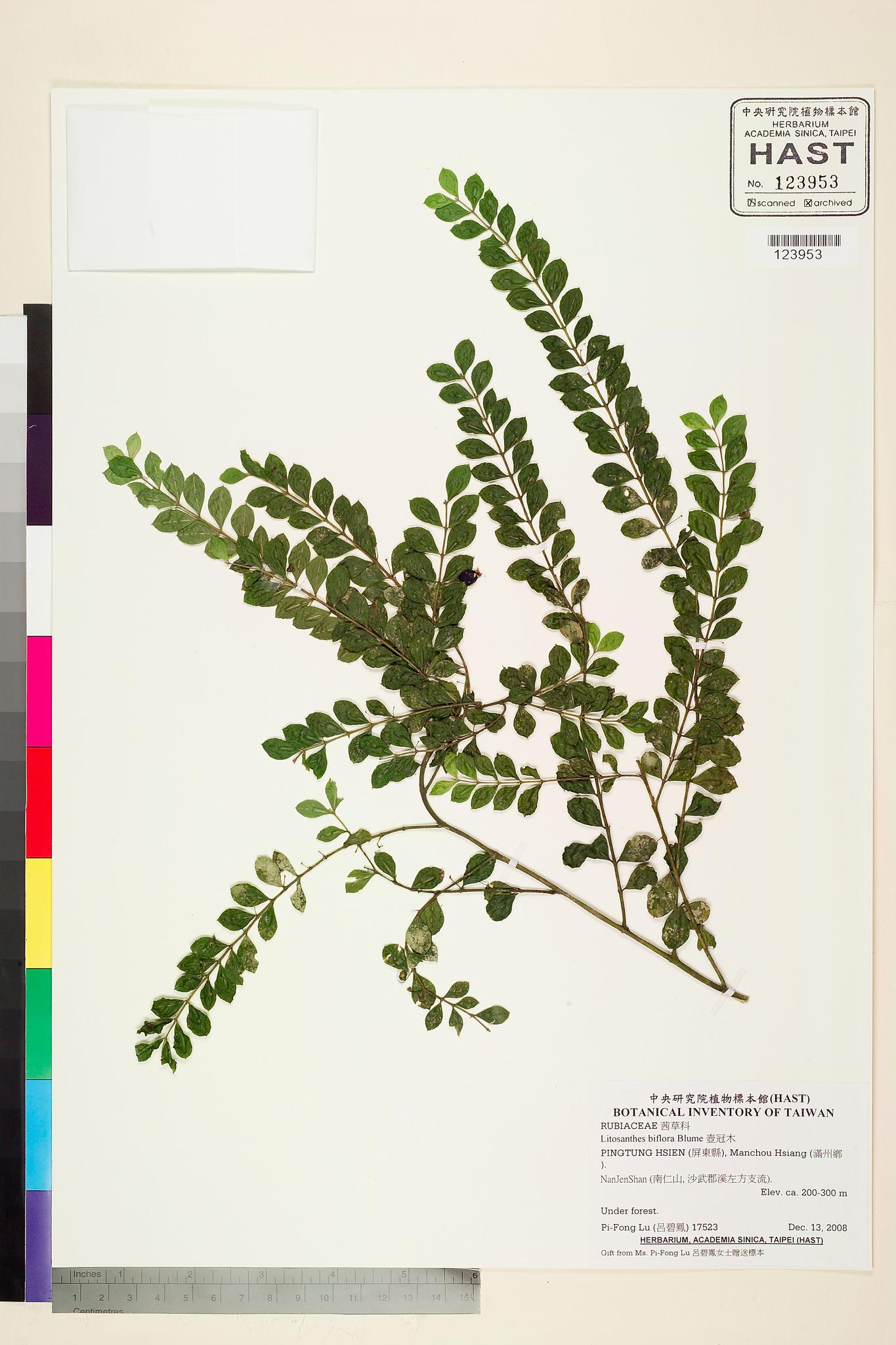 Sample image for viewer