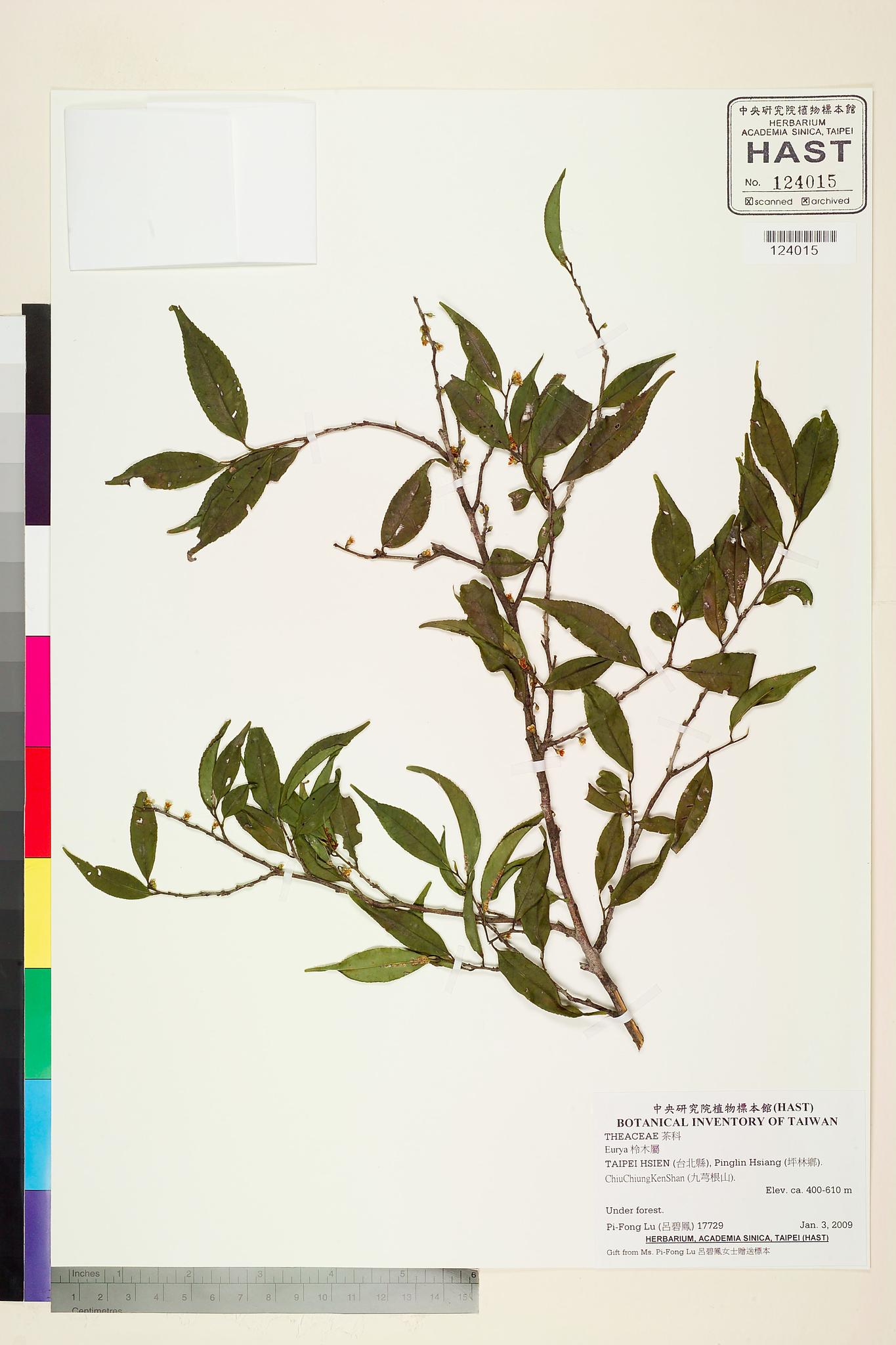 Sample image for viewer