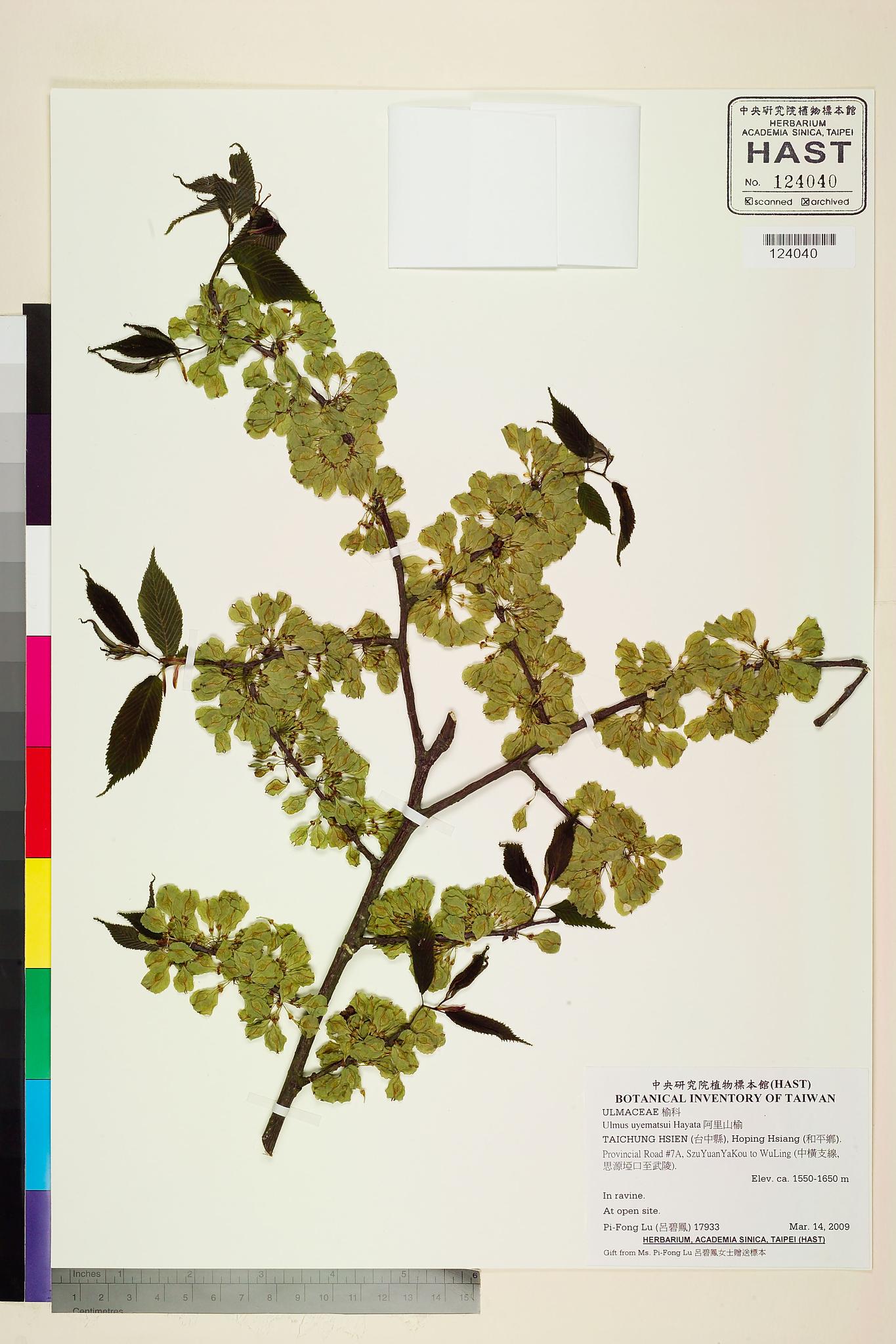 Sample image for viewer