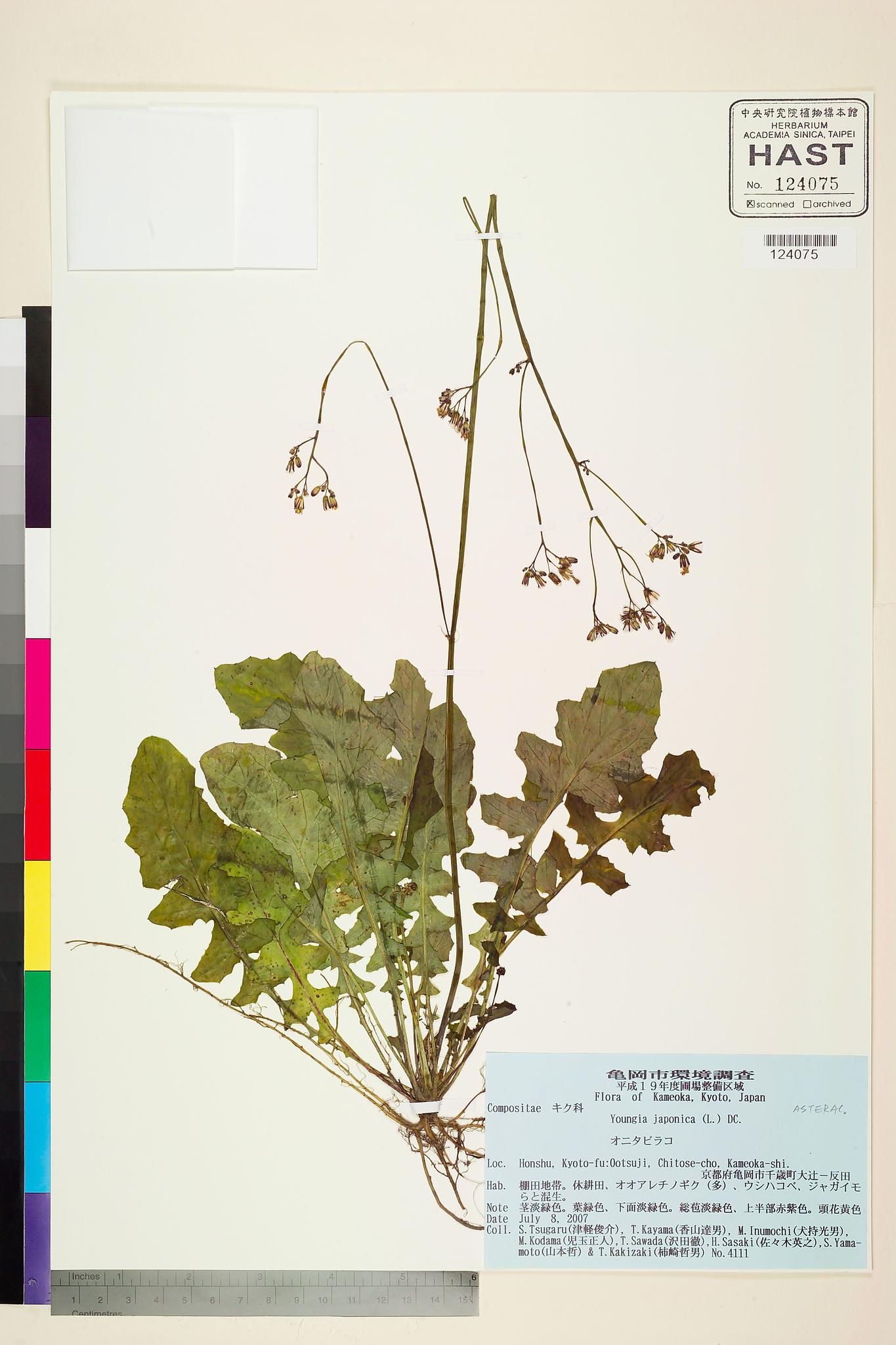 Sample image for viewer