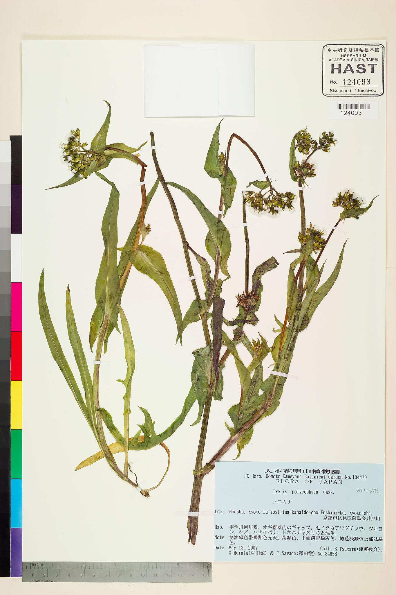 Specimen image