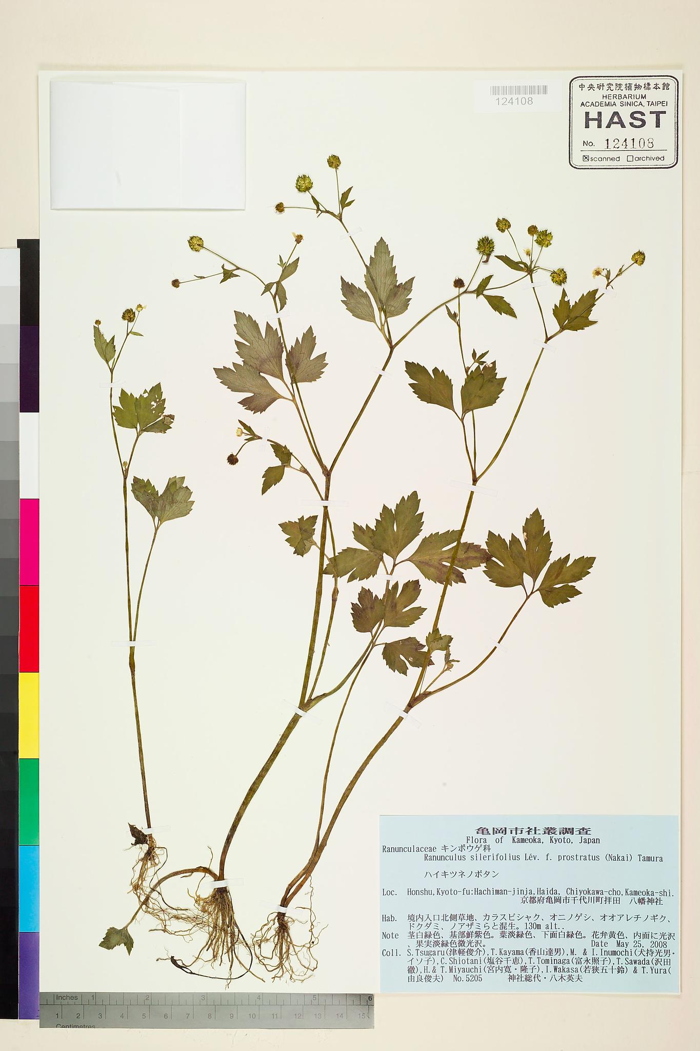 Sample image for viewer