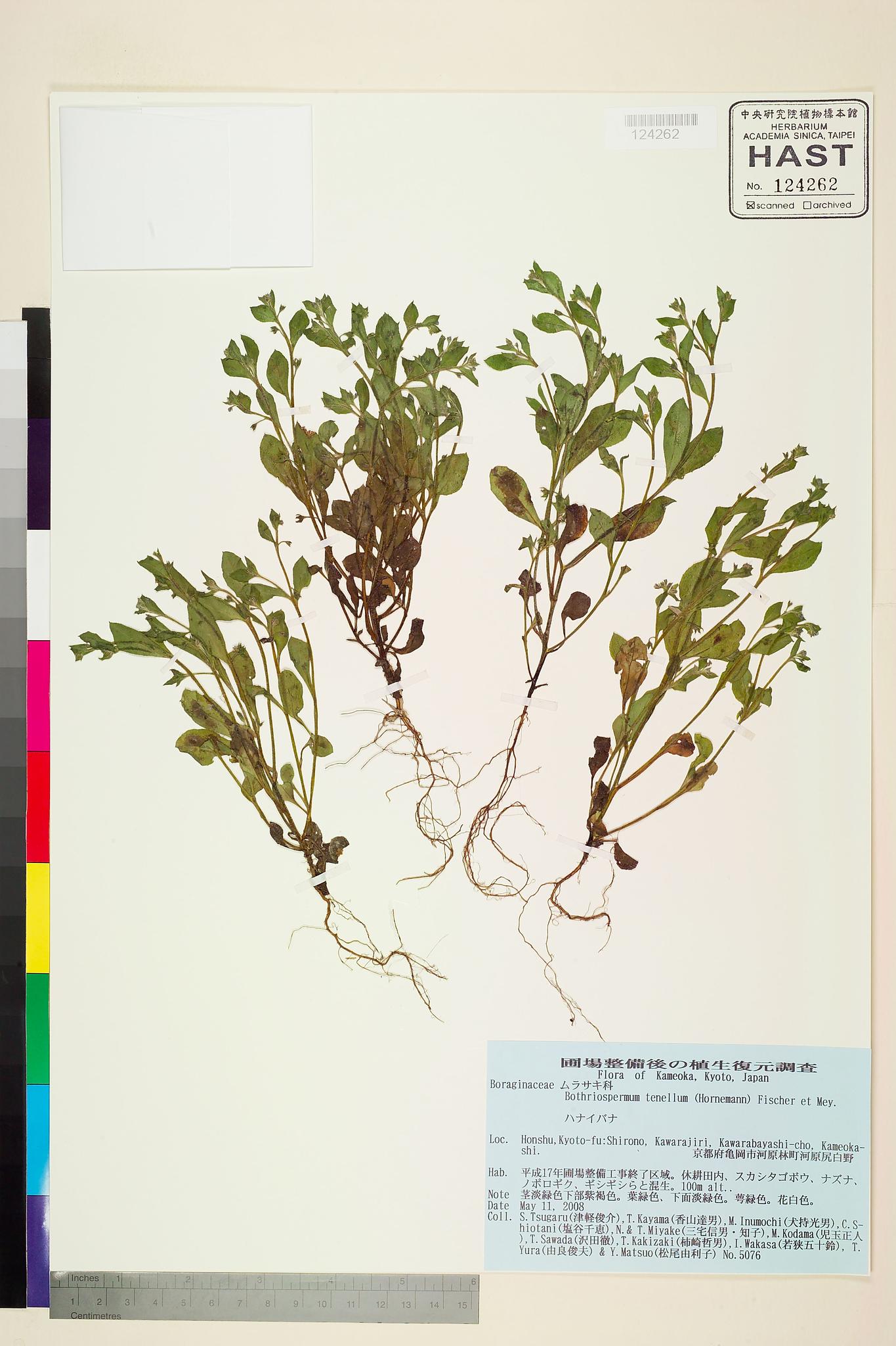 Sample image for viewer