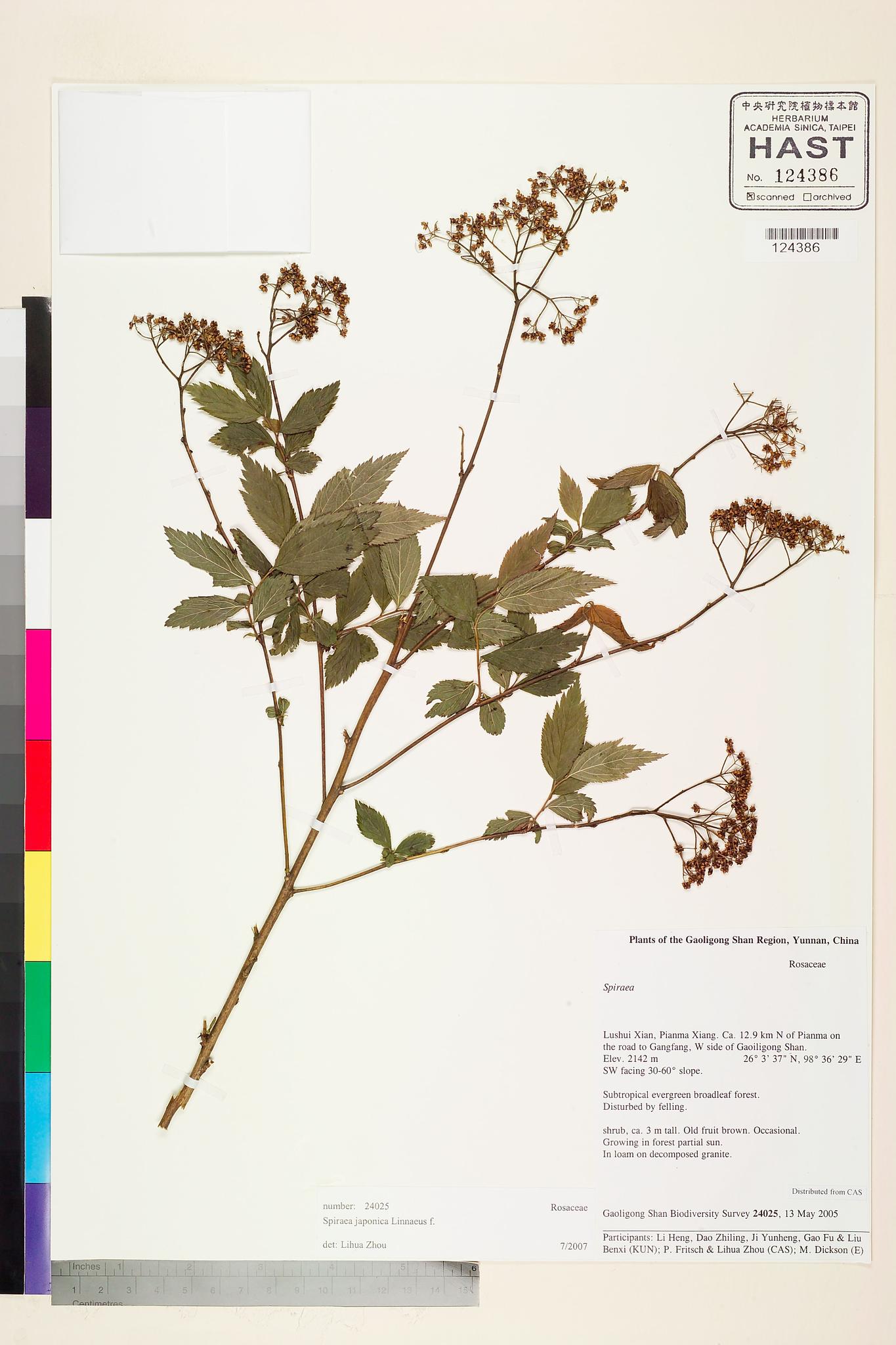 Sample image for viewer