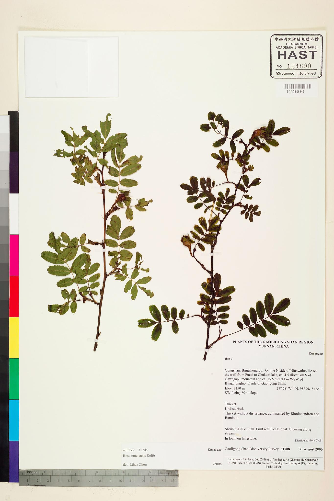Specimen image