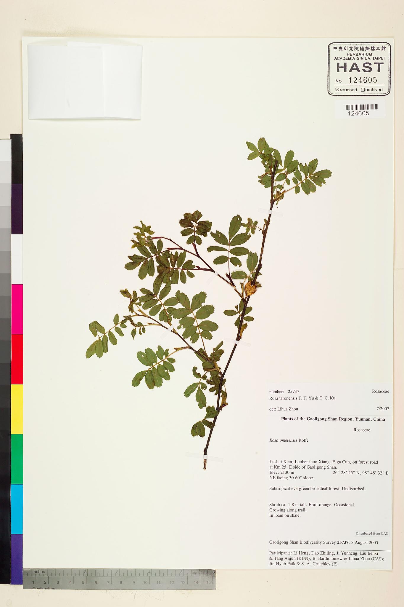 Sample image for viewer