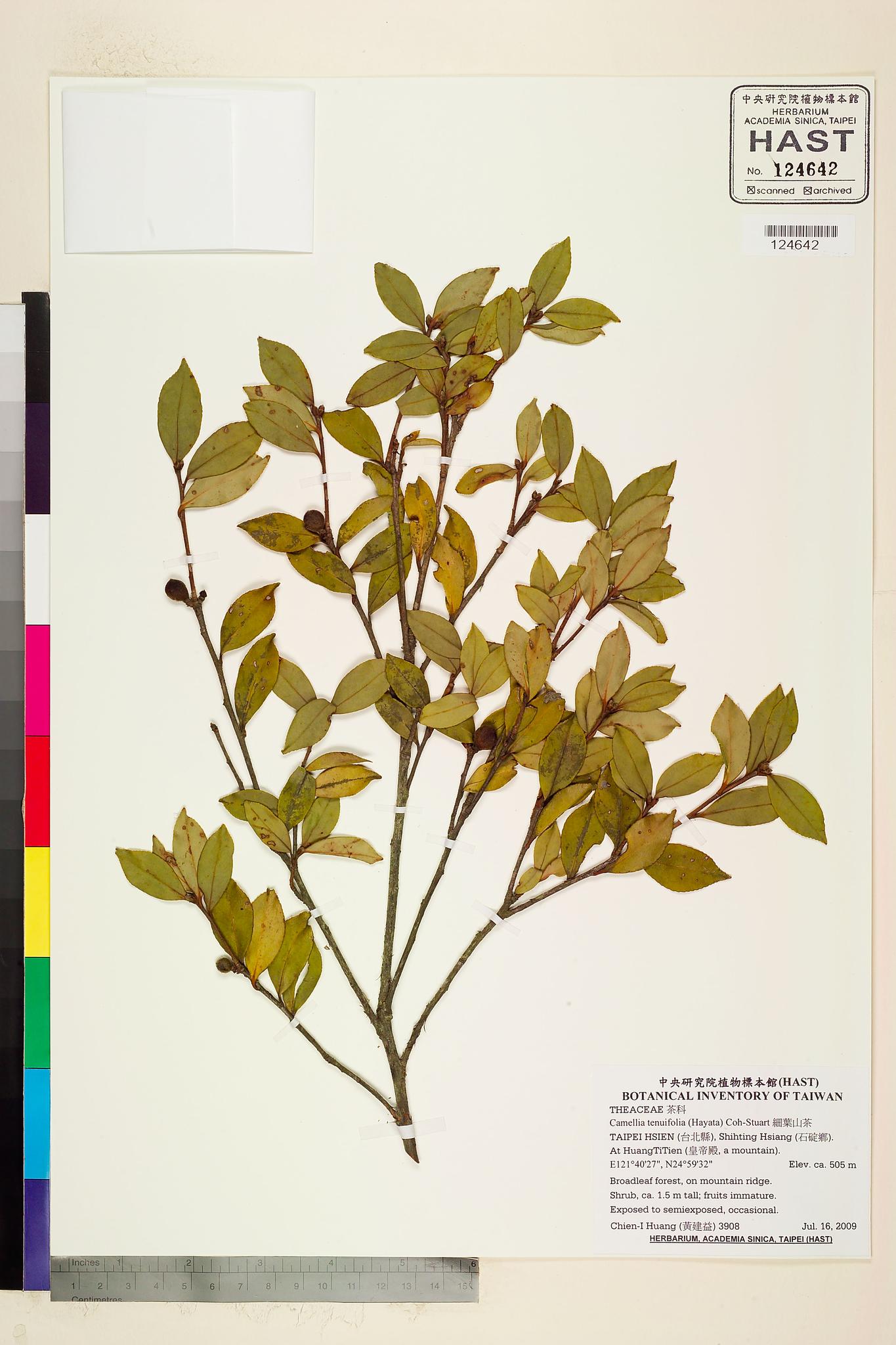 Sample image for viewer