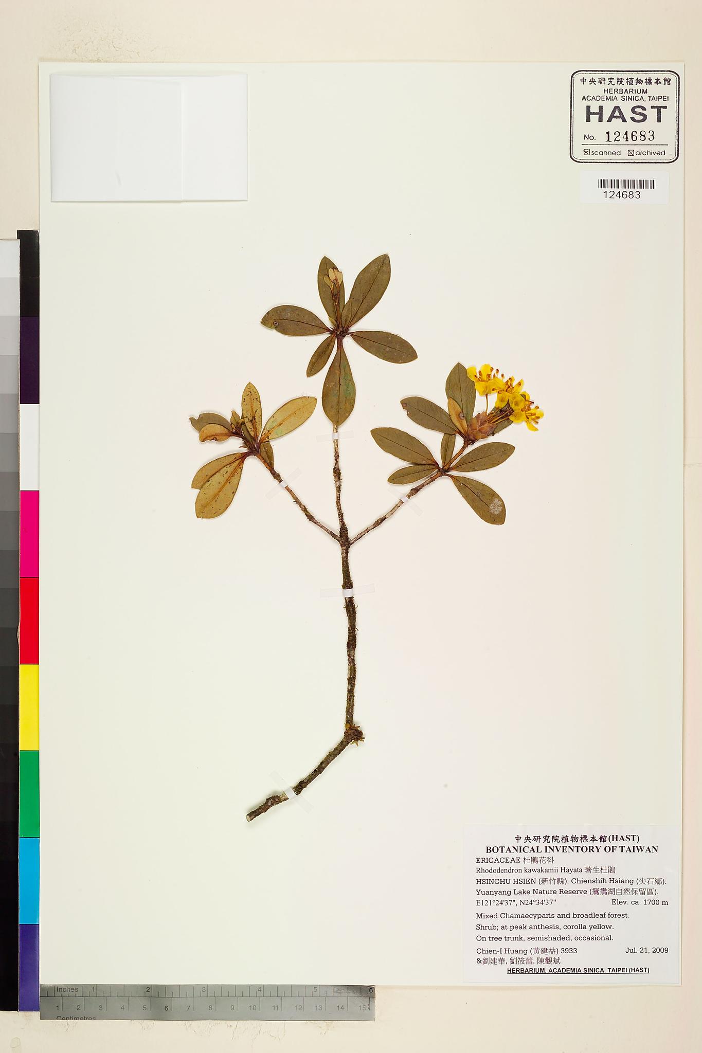 Sample image for viewer