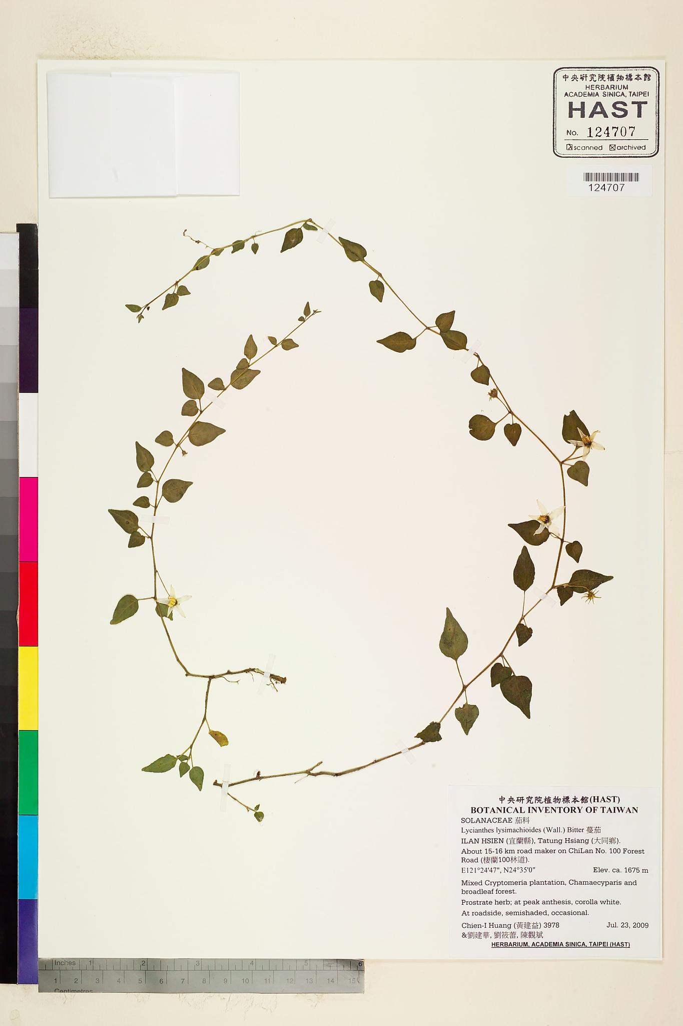 Sample image for viewer