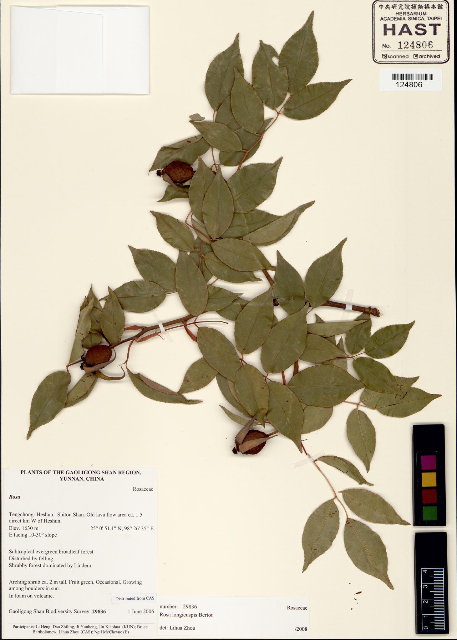 Sample image for viewer