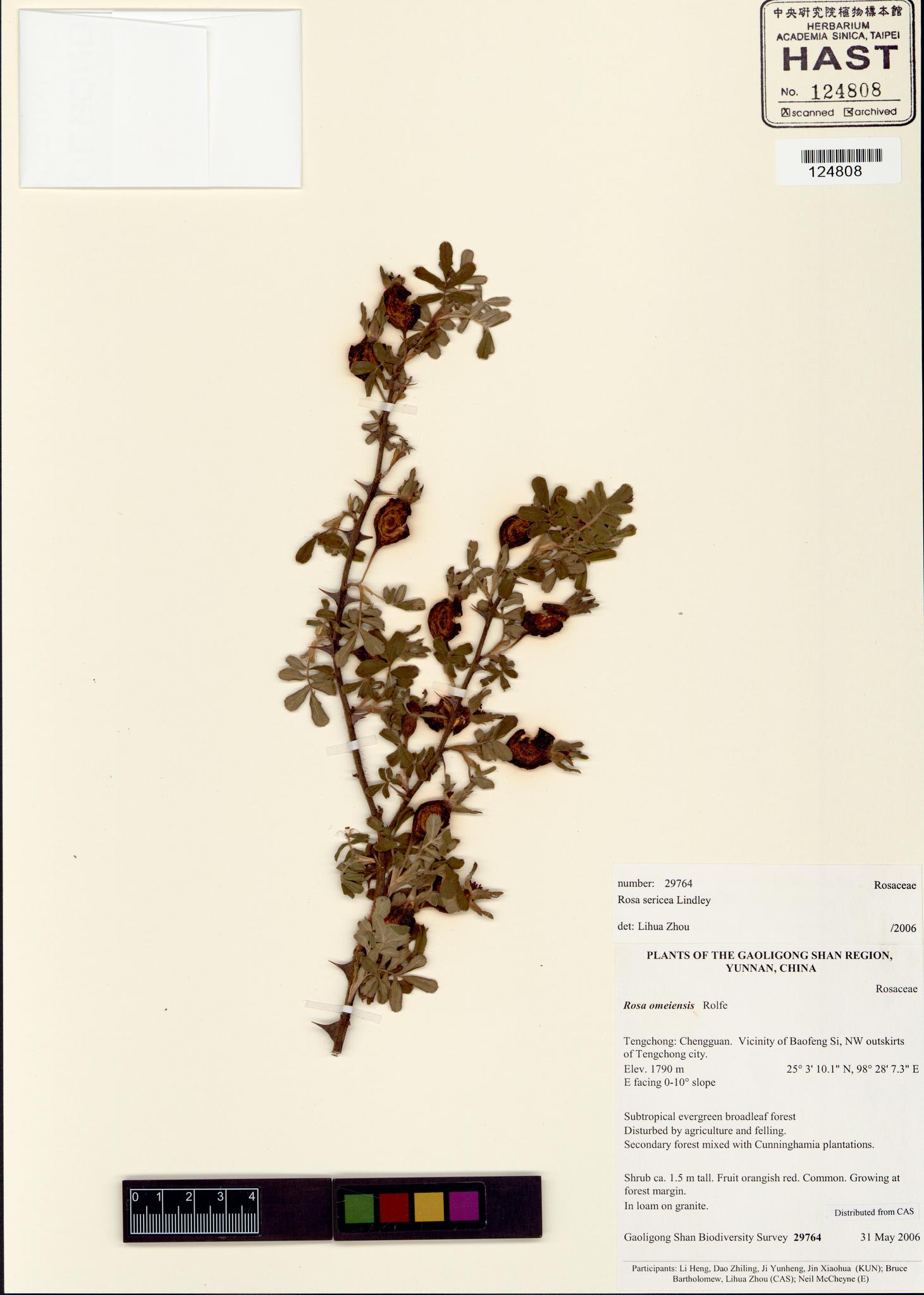 Sample image for viewer