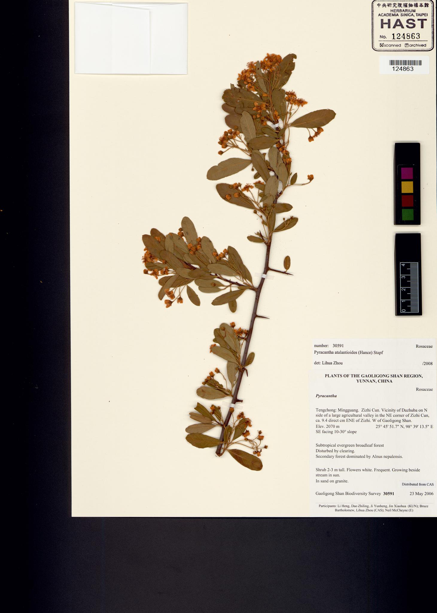 Sample image for viewer