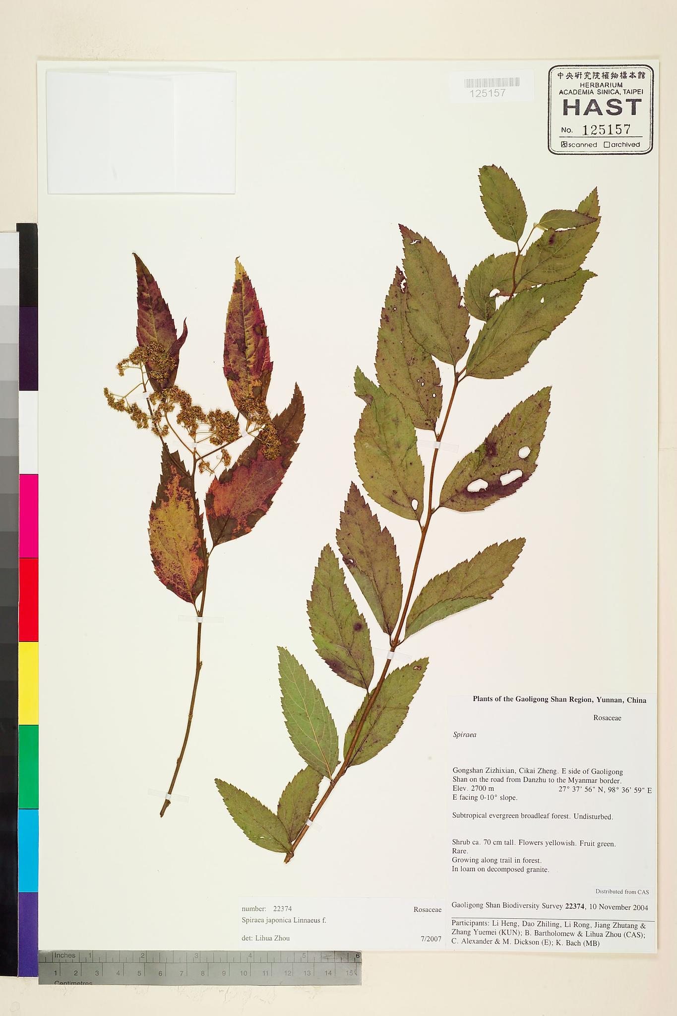 Sample image for viewer