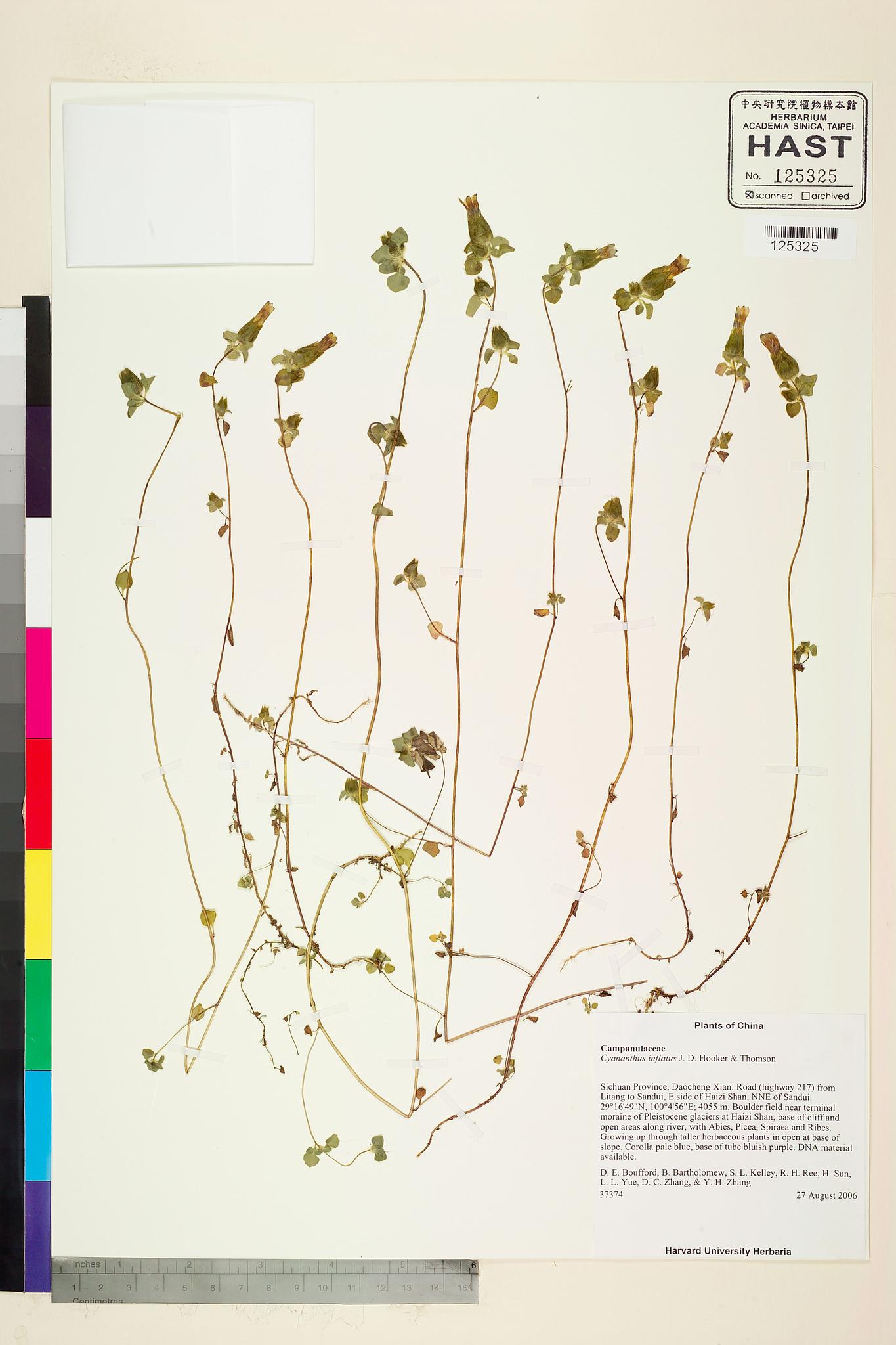 Specimen image