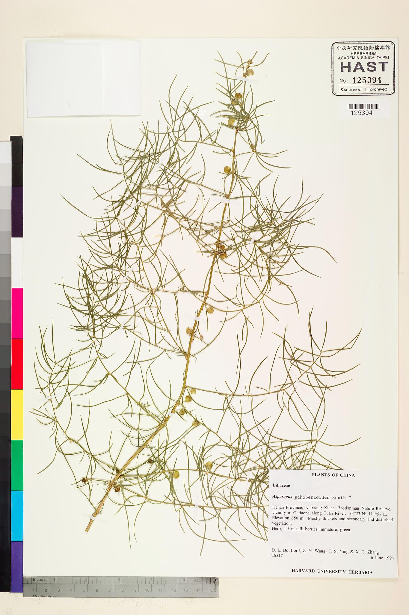 Sample image for viewer