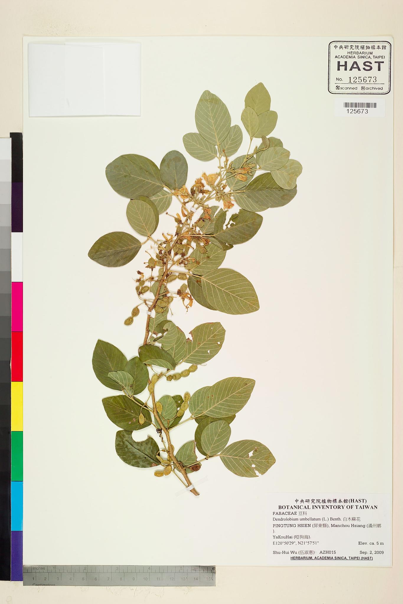 Sample image for viewer