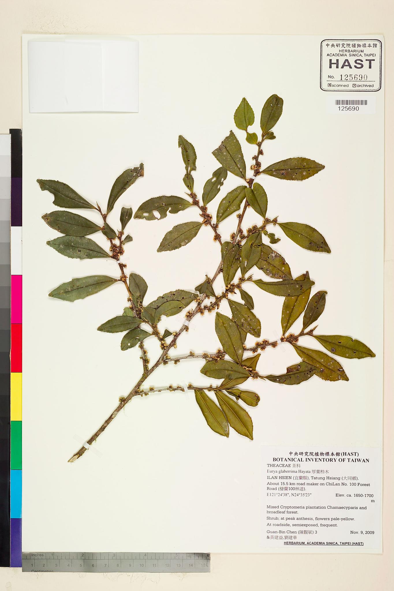 Sample image for viewer