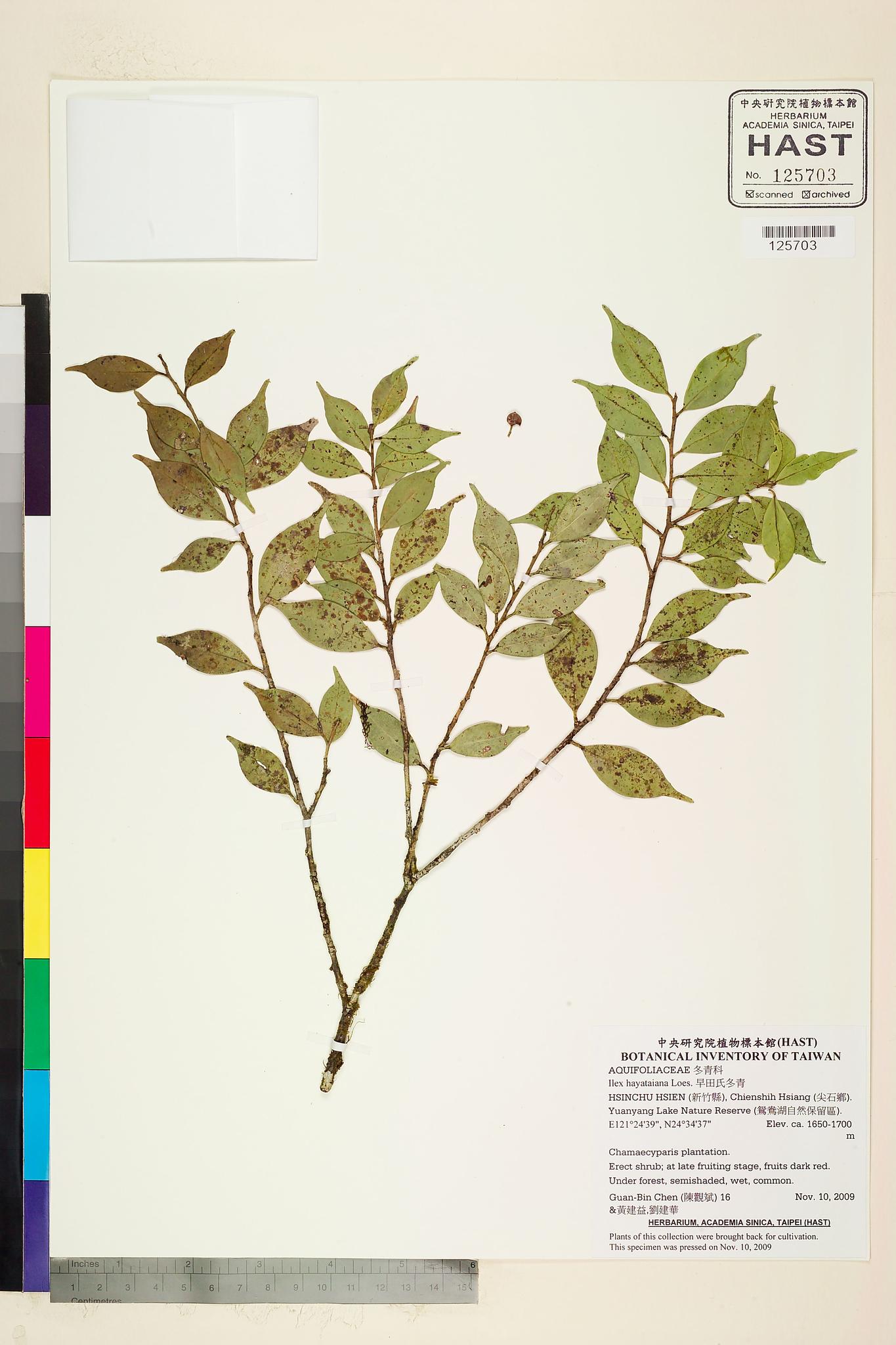 Sample image for viewer