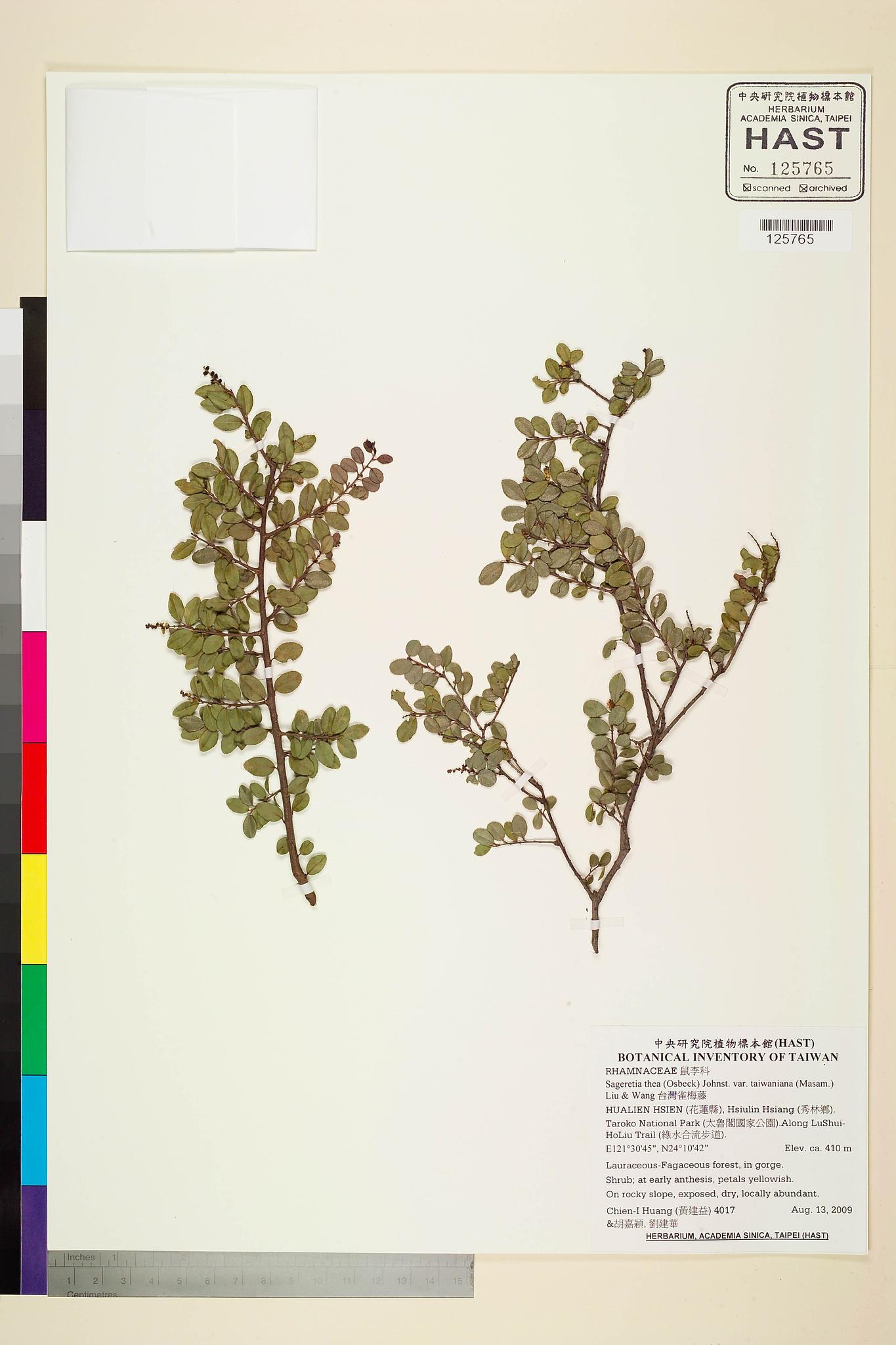 Sample image for viewer