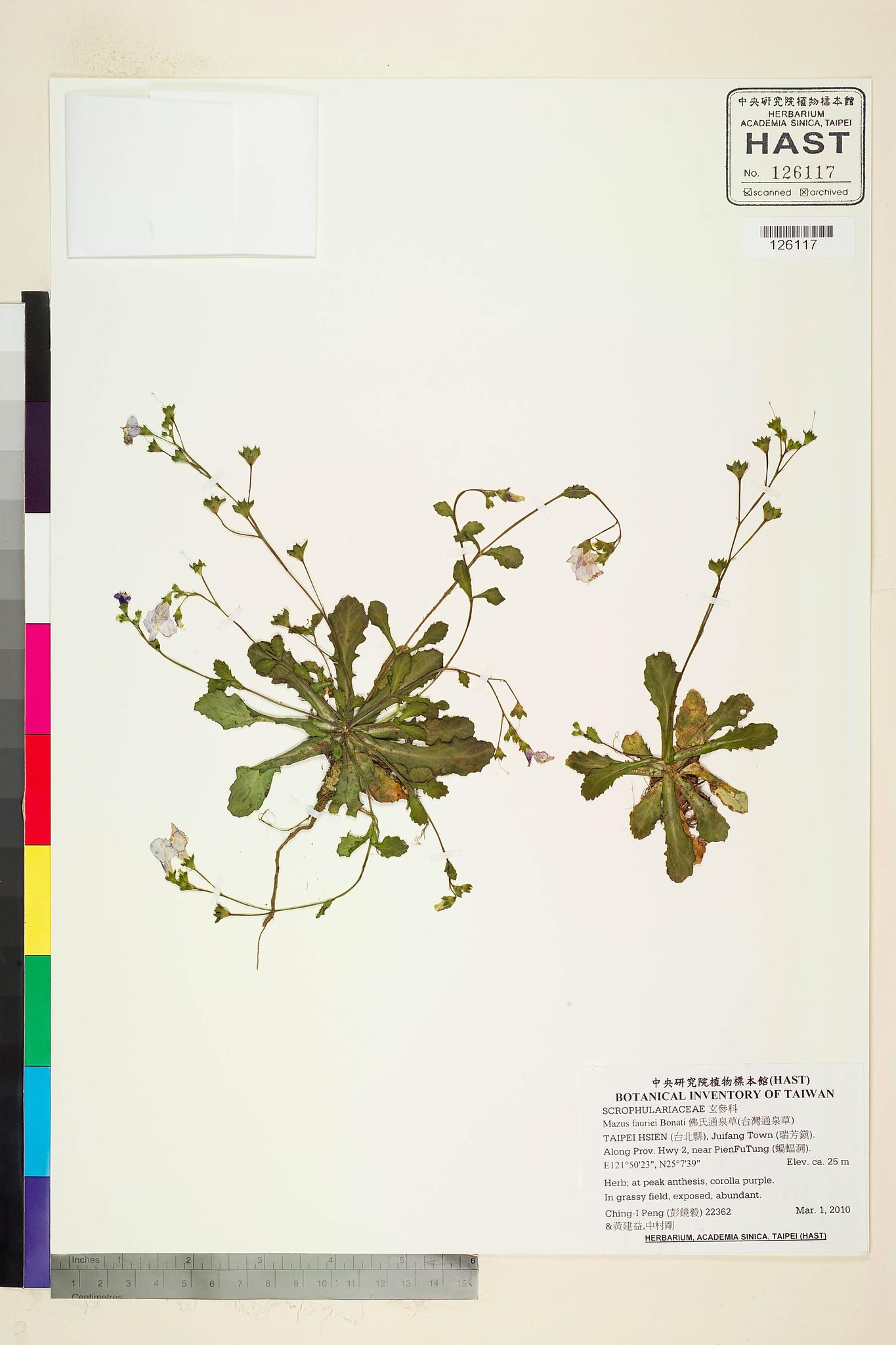 Sample image for viewer