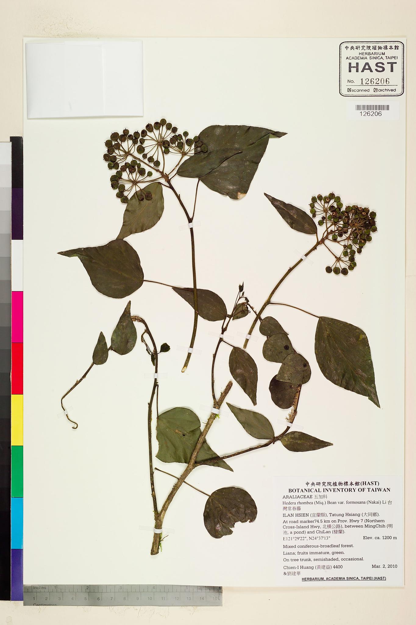 Sample image for viewer