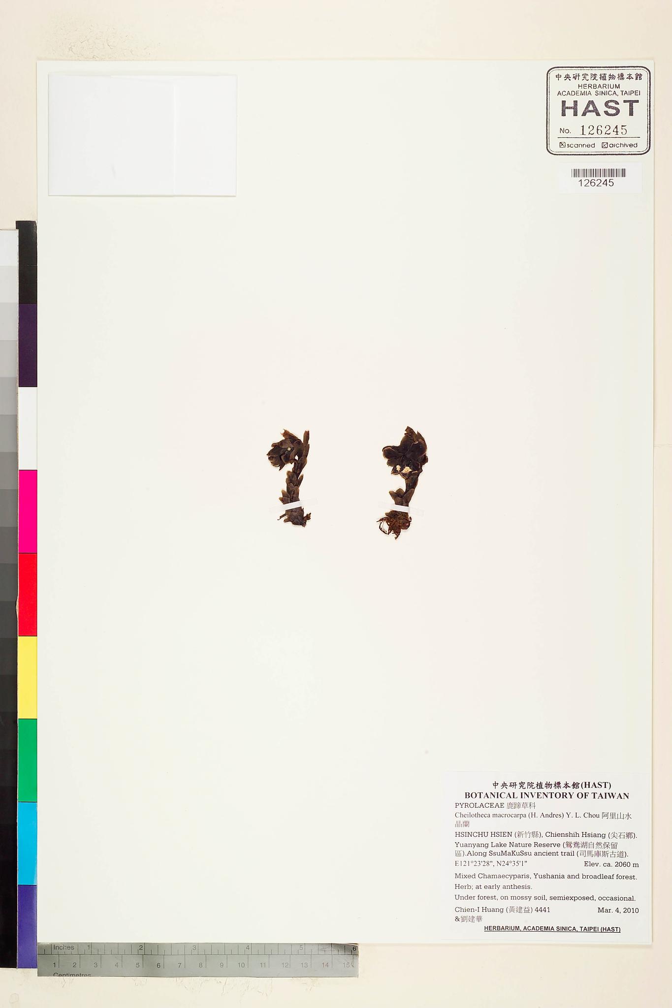 Sample image for viewer