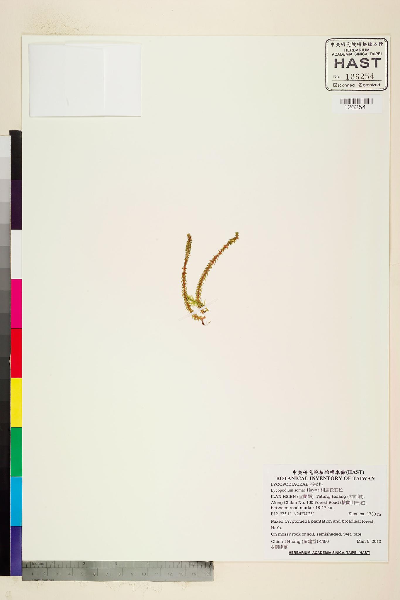 Sample image for viewer