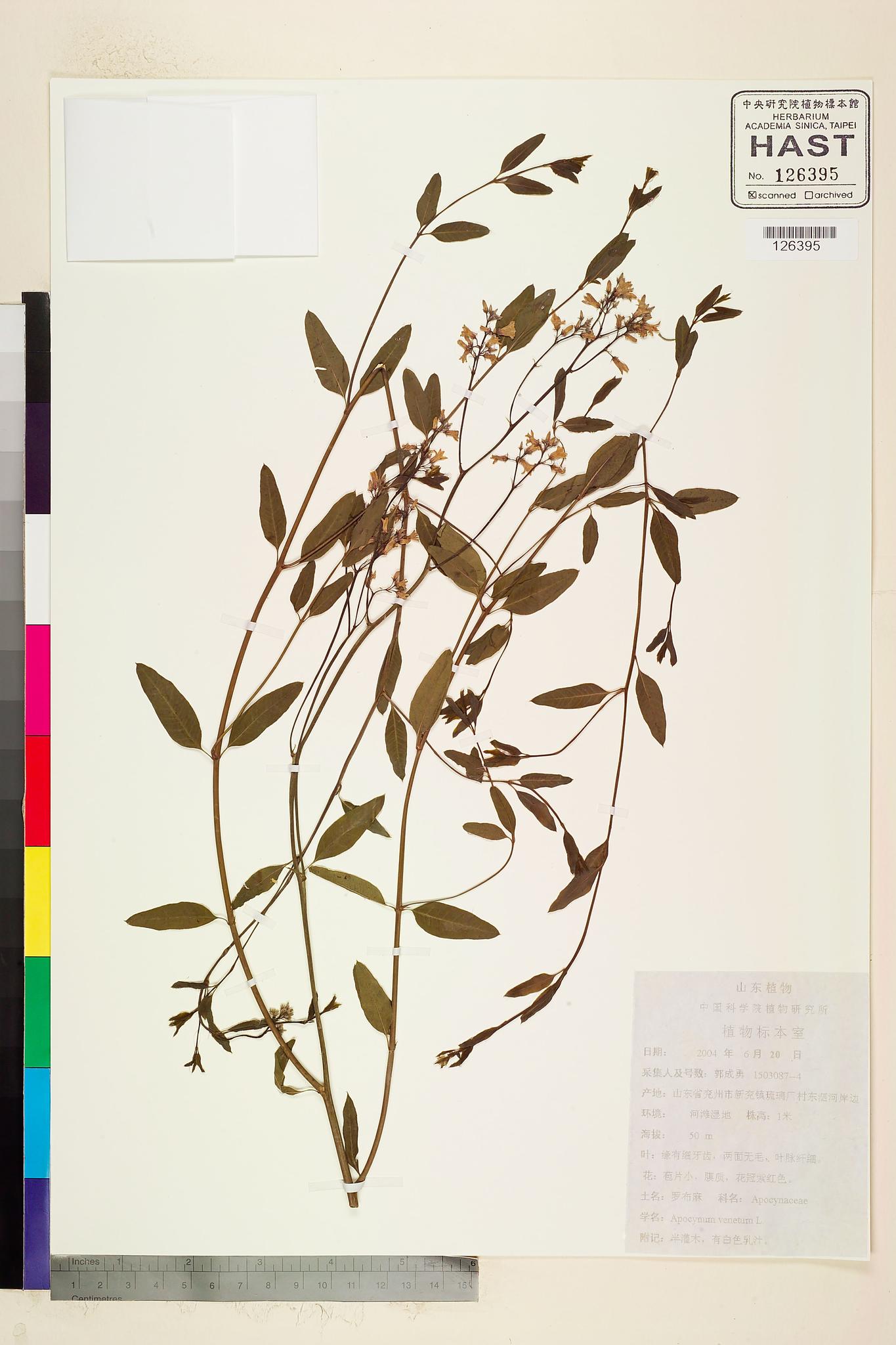 Sample image for viewer