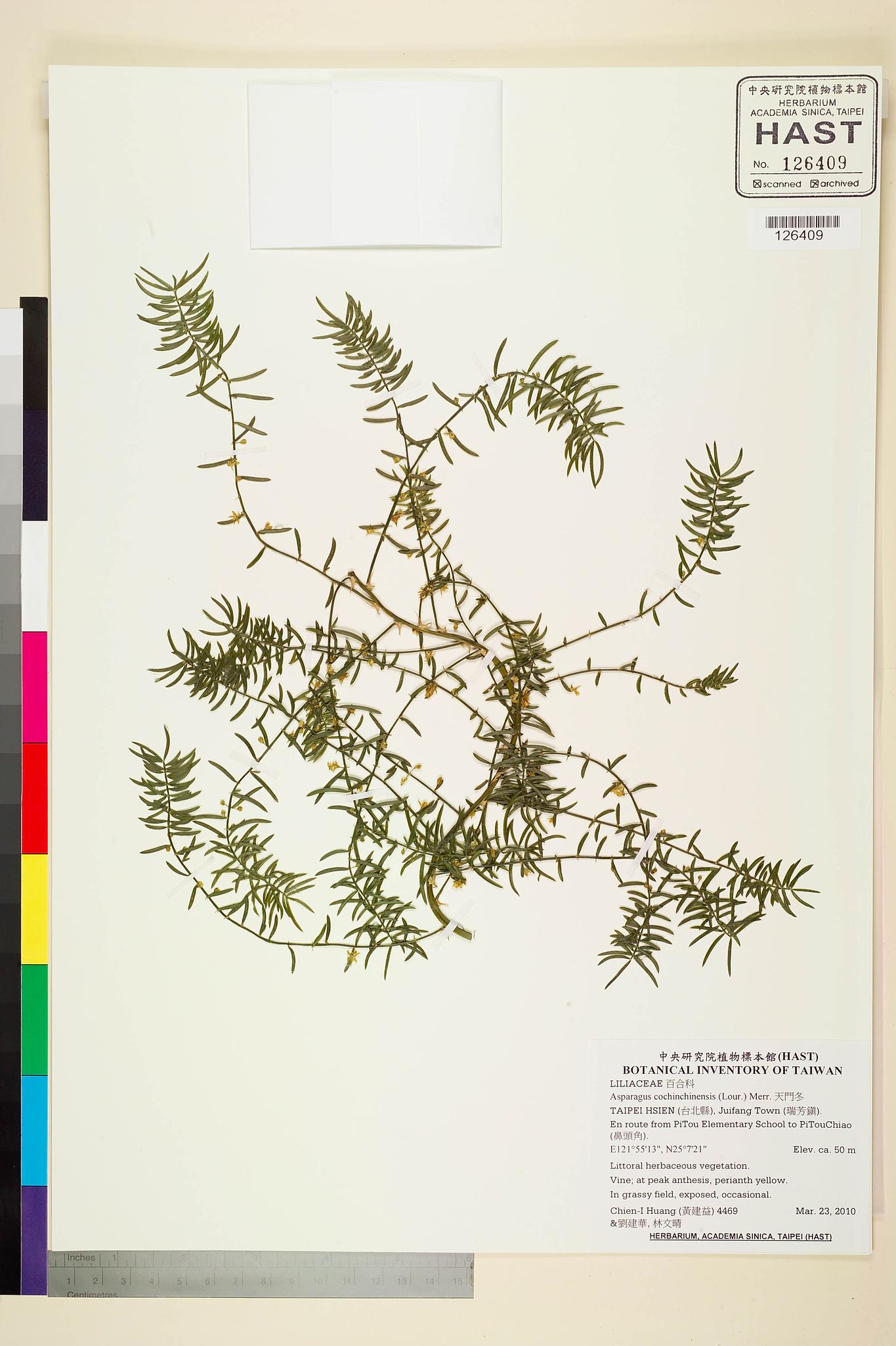 Sample image for viewer