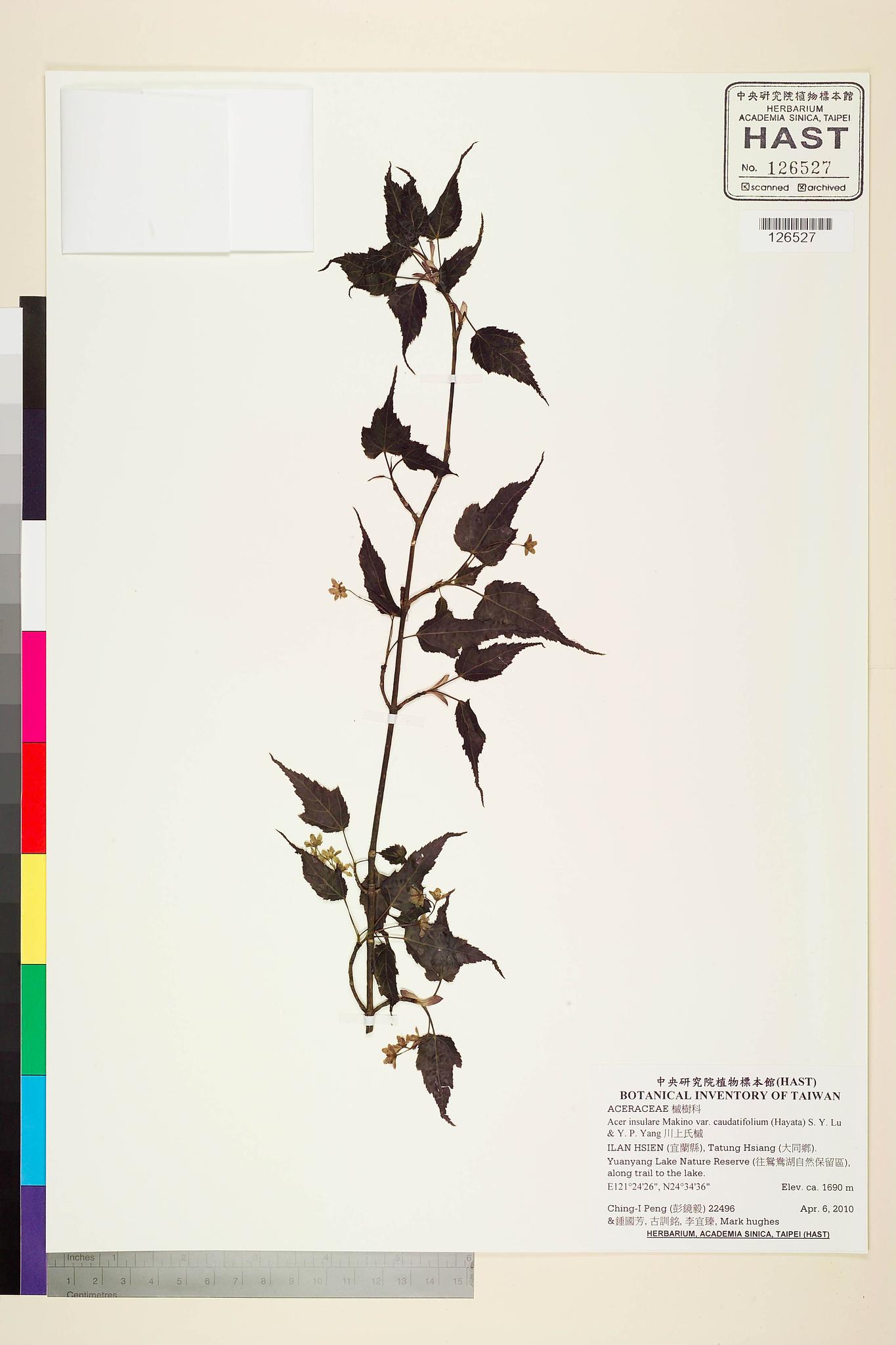 Sample image for viewer