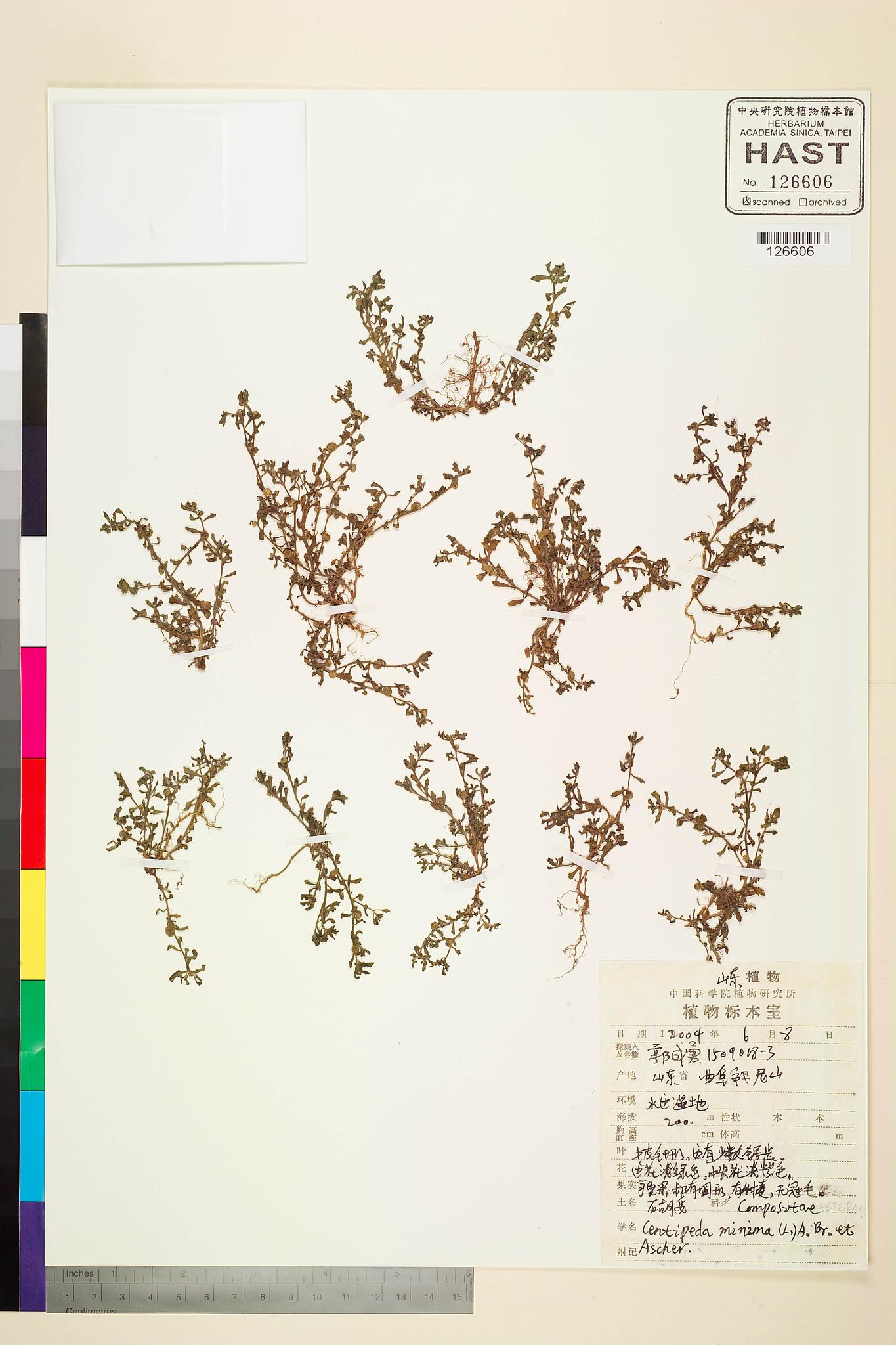 Sample image for viewer