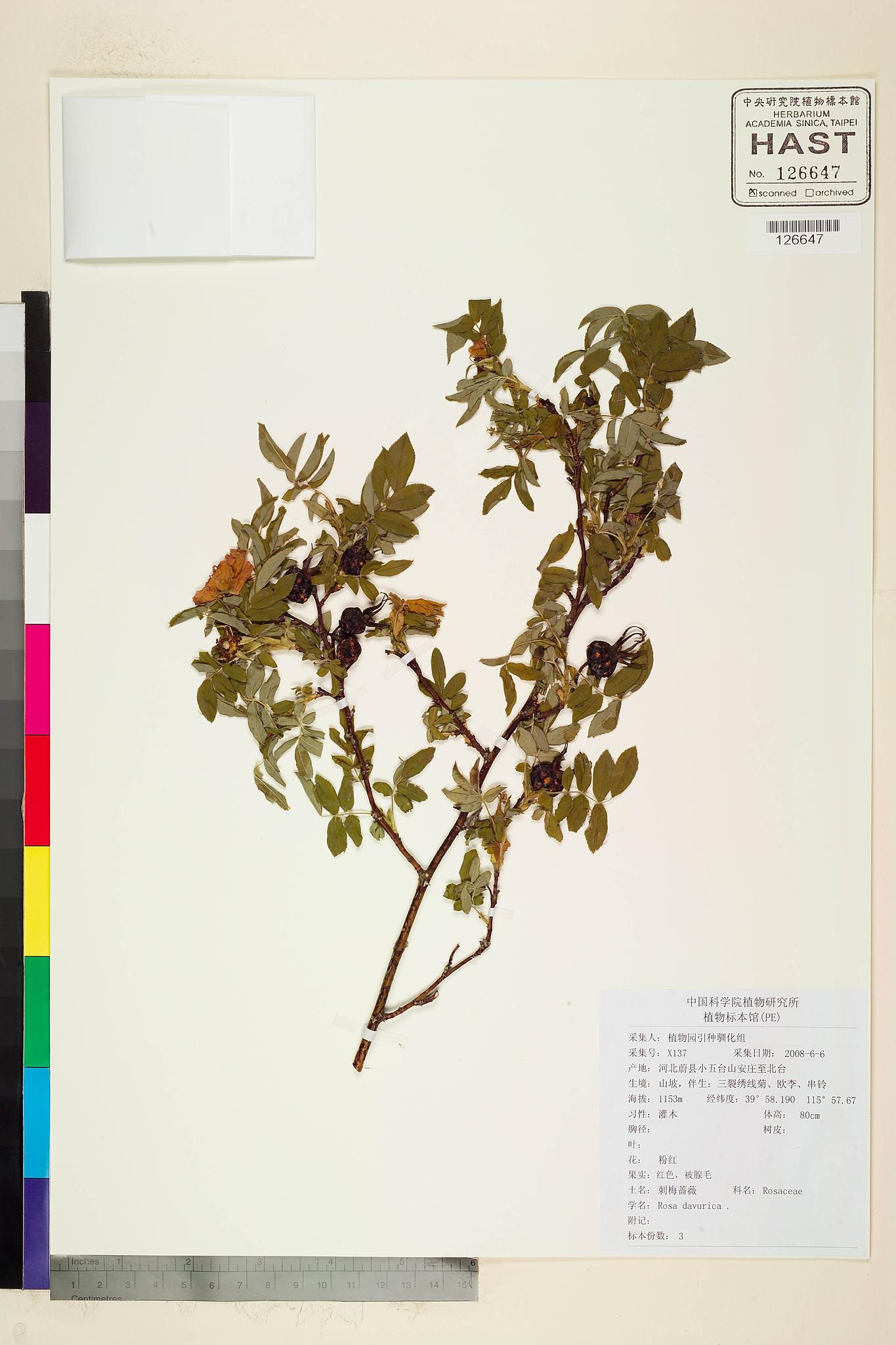 Sample image for viewer