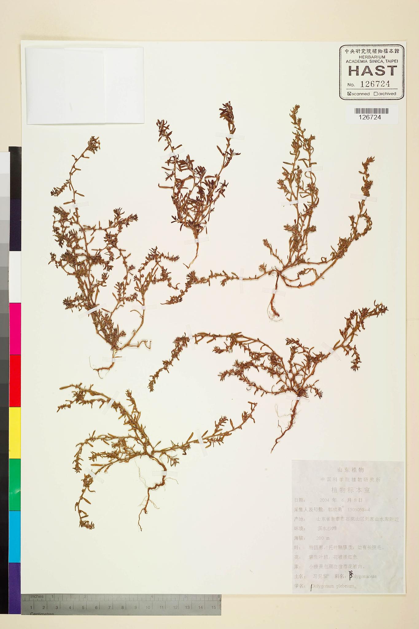 Sample image for viewer