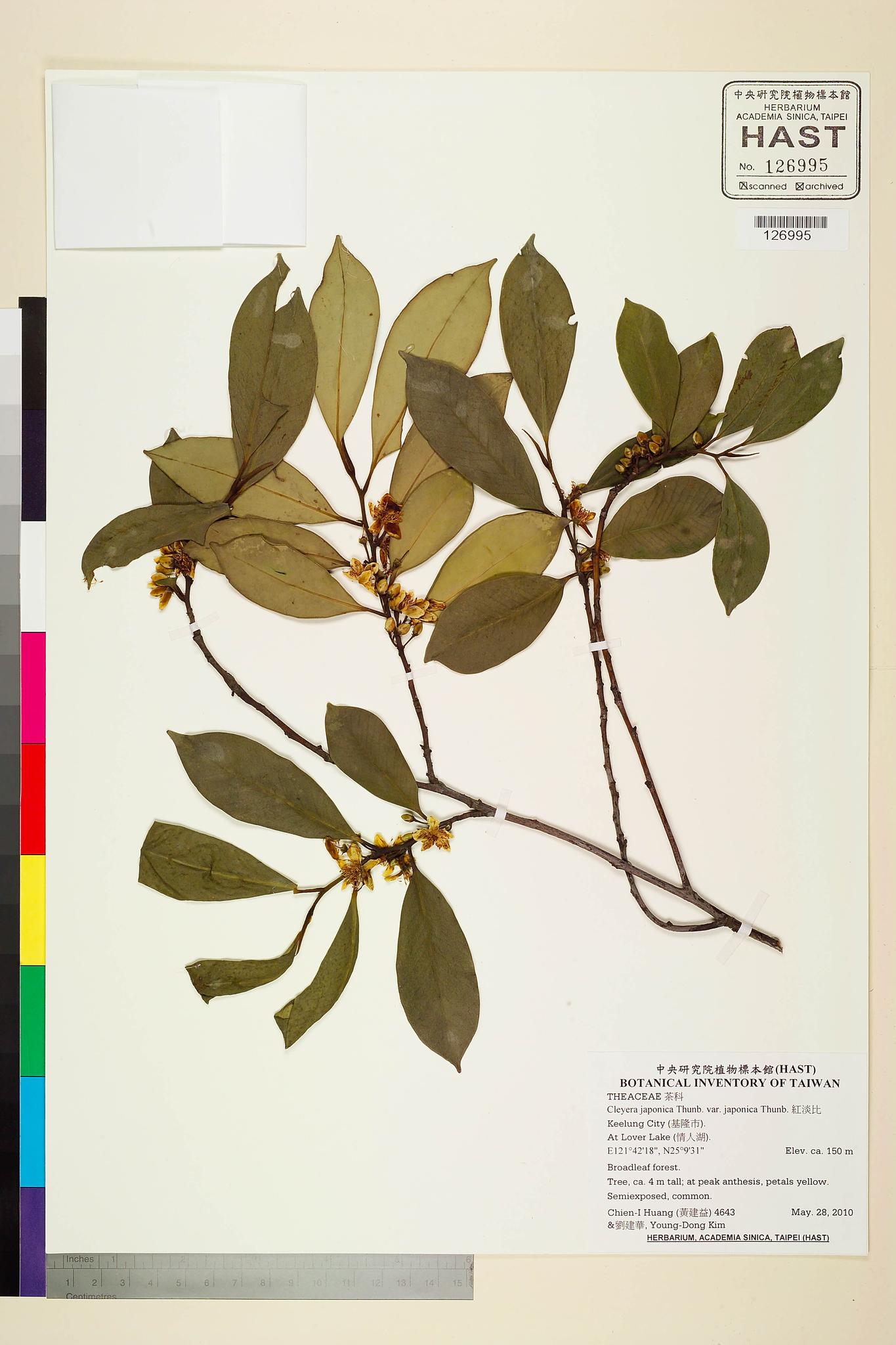 Sample image for viewer