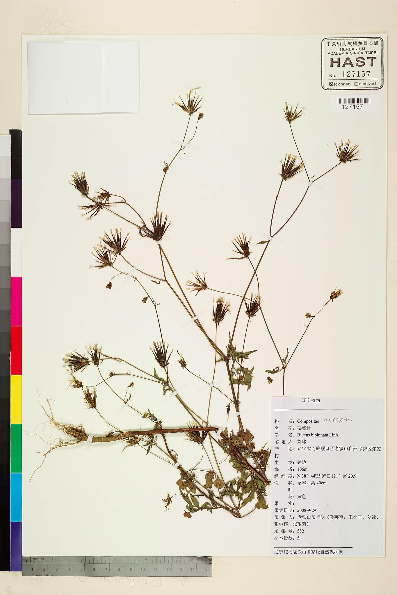 Sample image for viewer