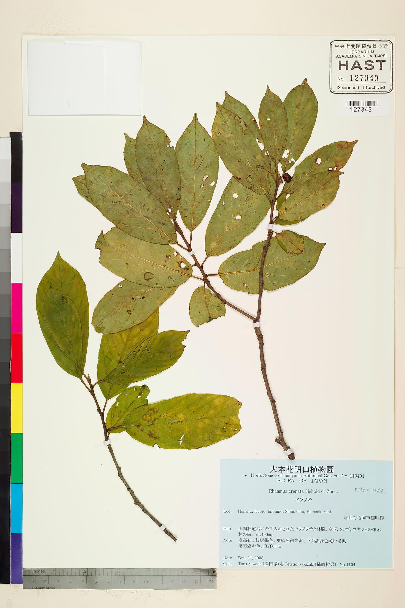 Sample image for viewer