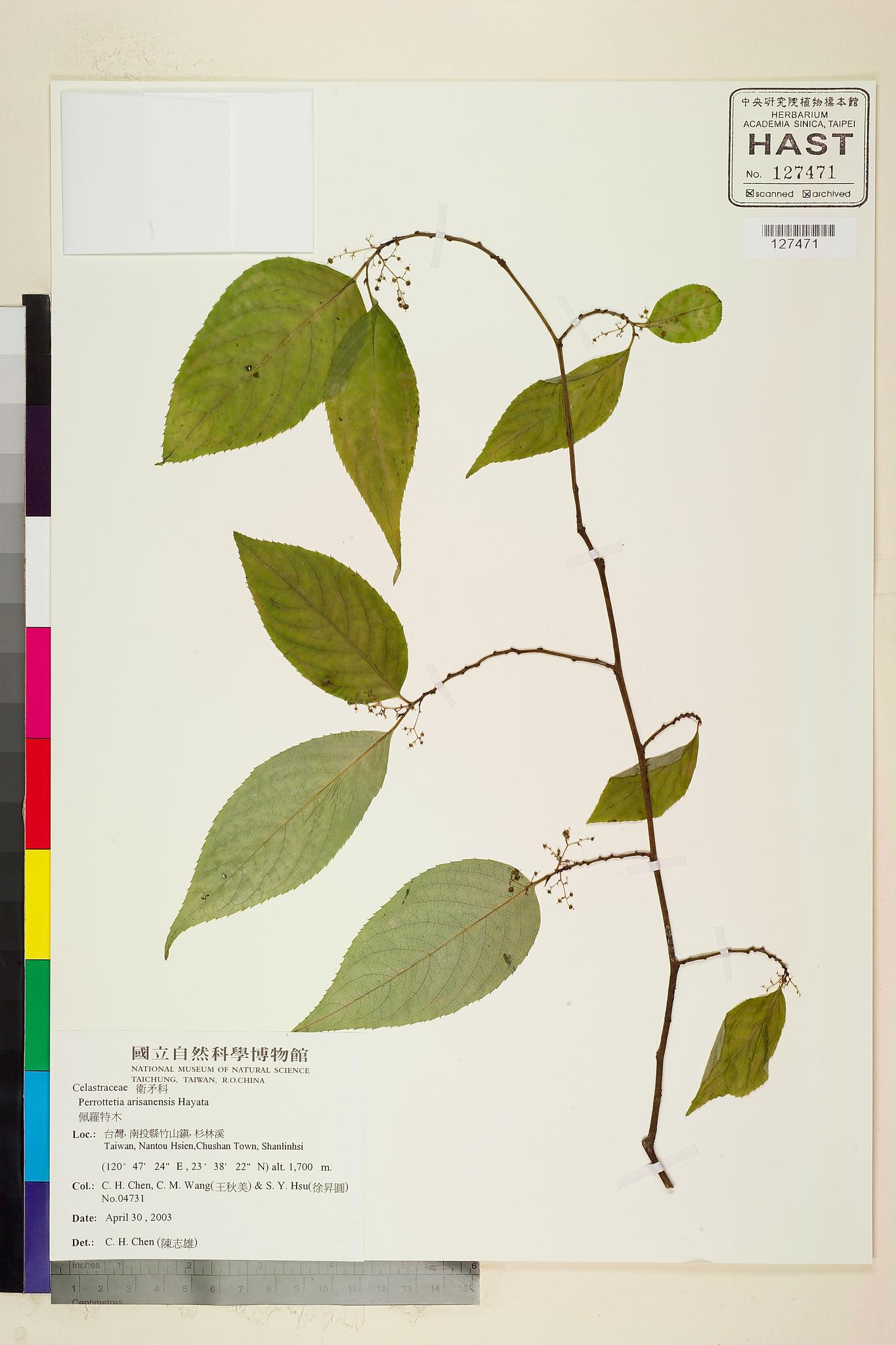 Sample image for viewer