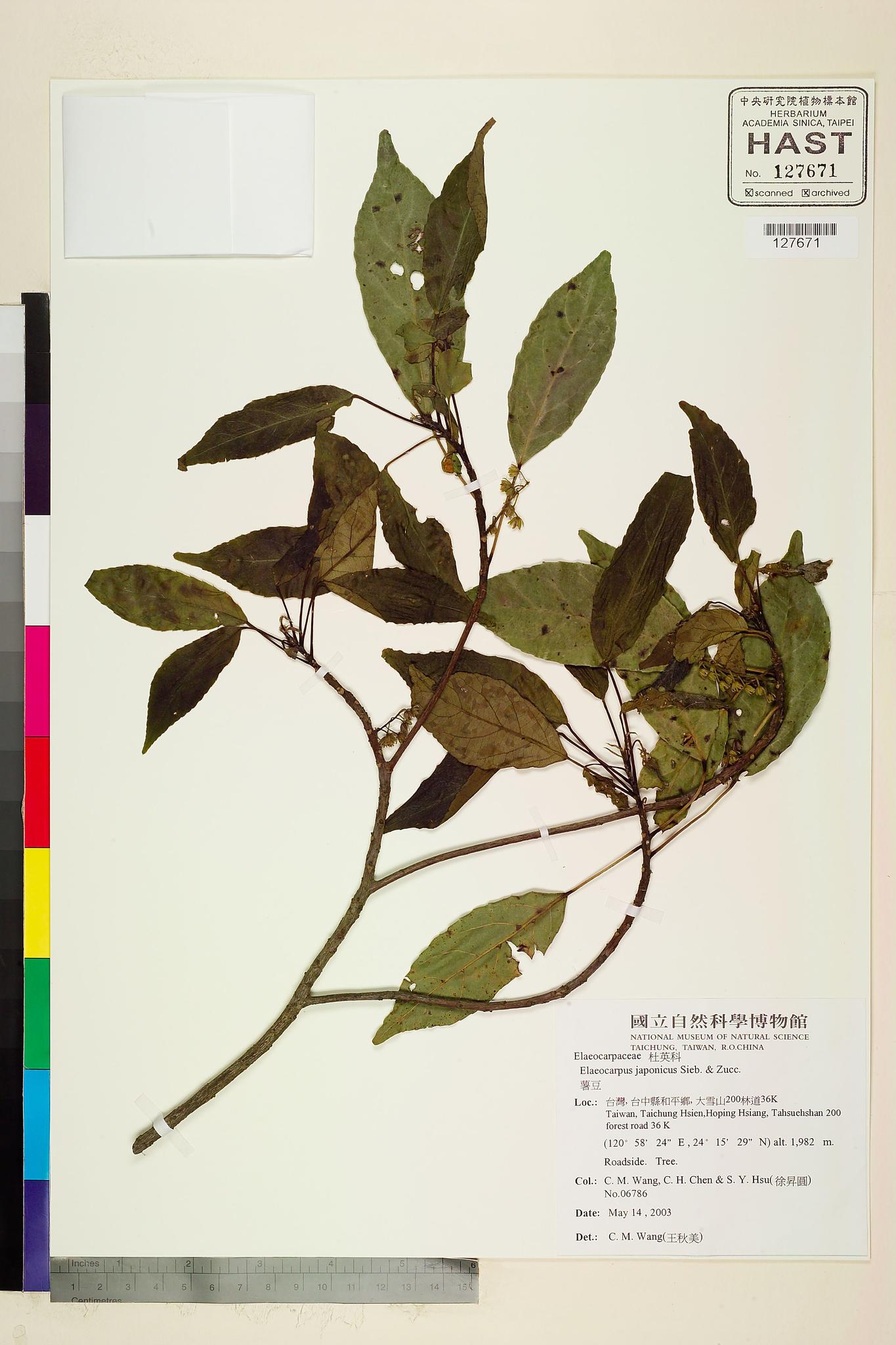 Sample image for viewer