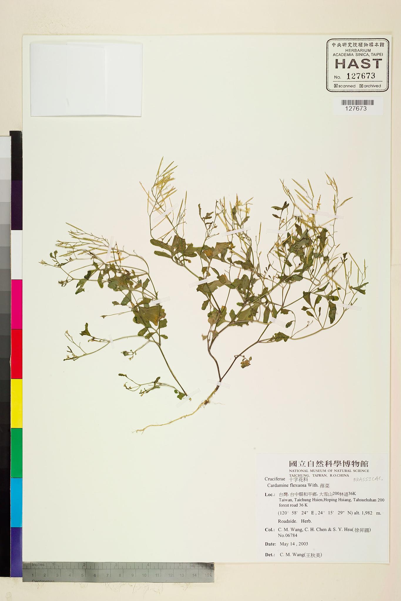 Sample image for viewer