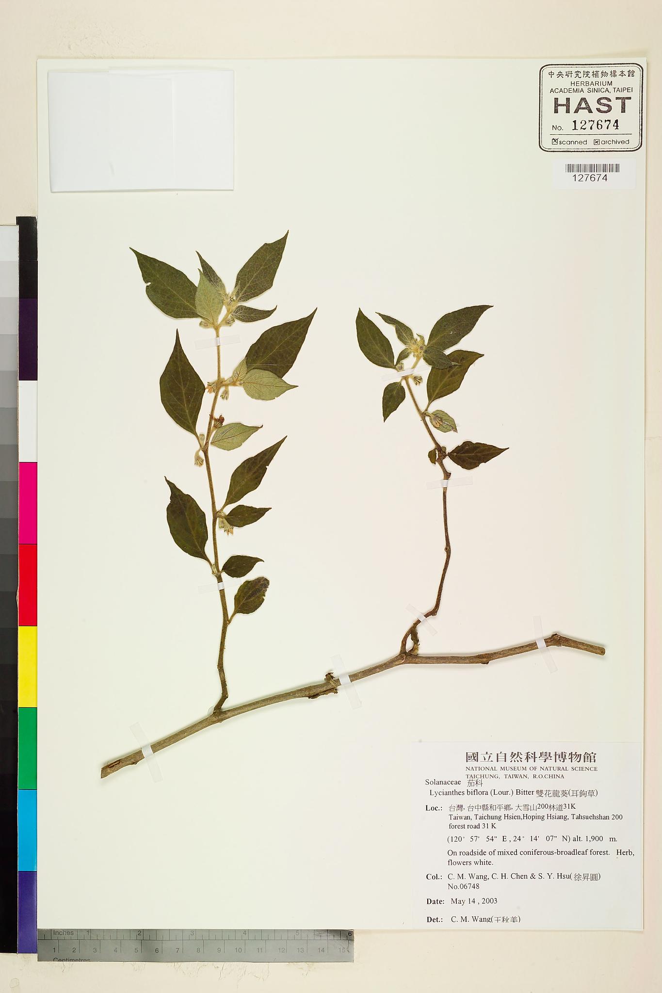 Sample image for viewer