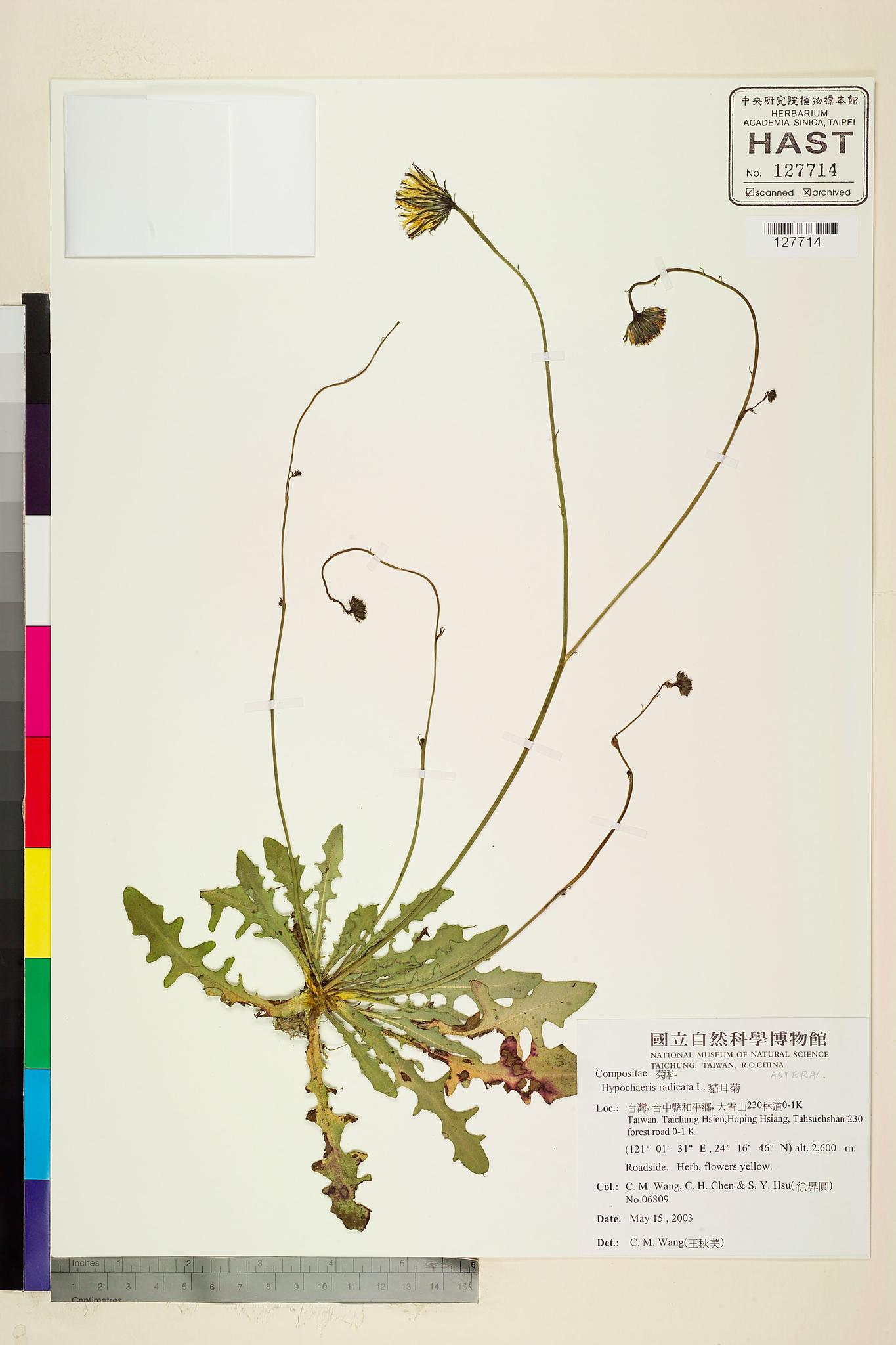 Sample image for viewer