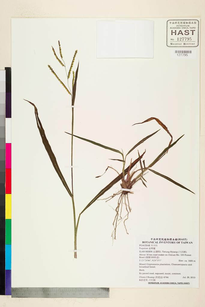 <Unit #93238 Huang, Chien-I | 黃建益 | 4744:: | Paspalum>