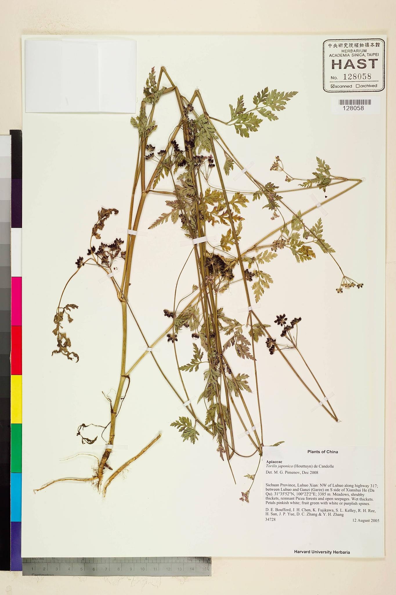 Sample image for viewer