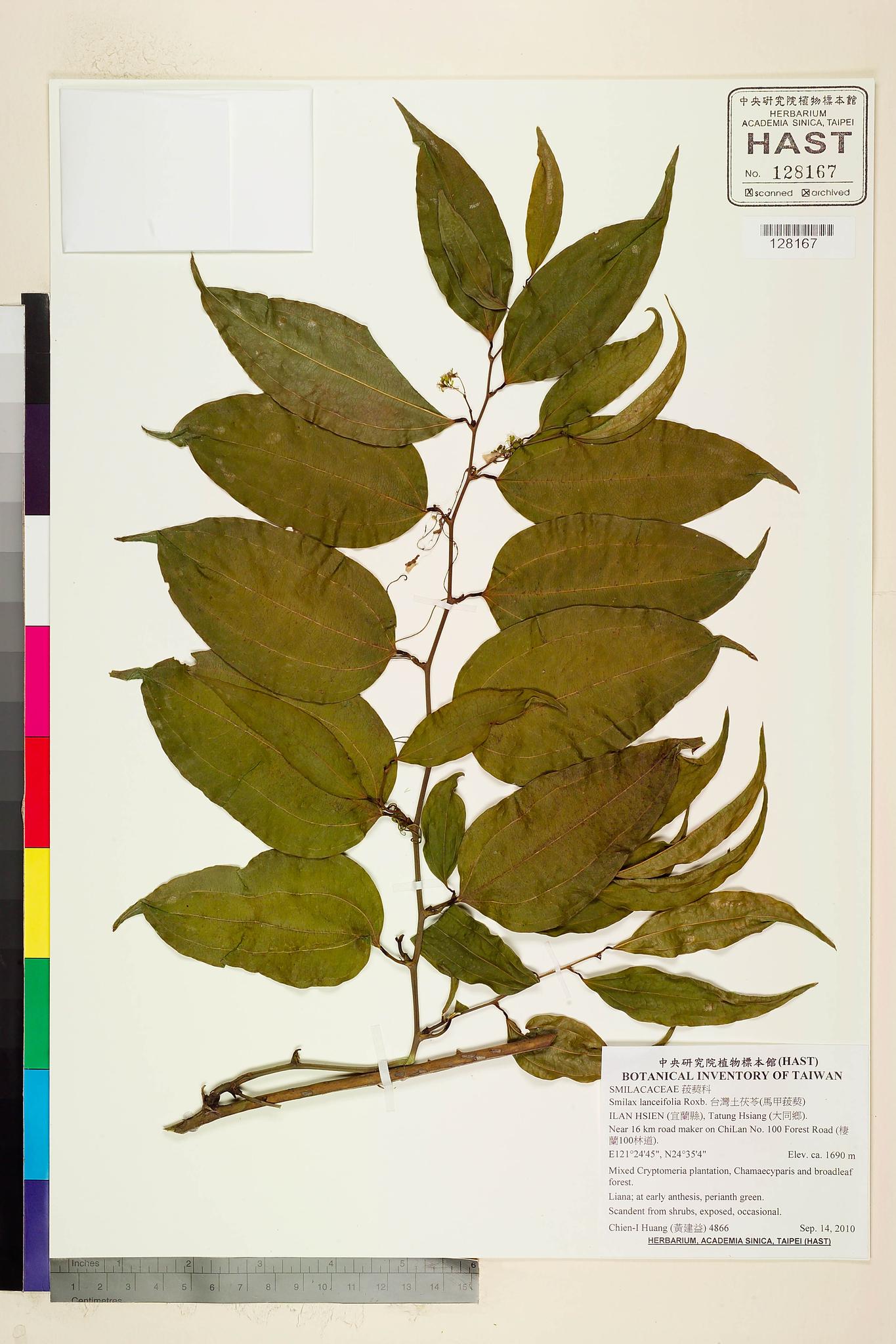 Sample image for viewer