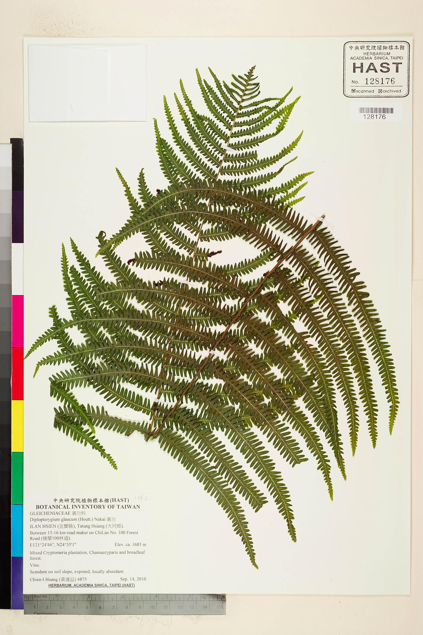 Sample image for viewer