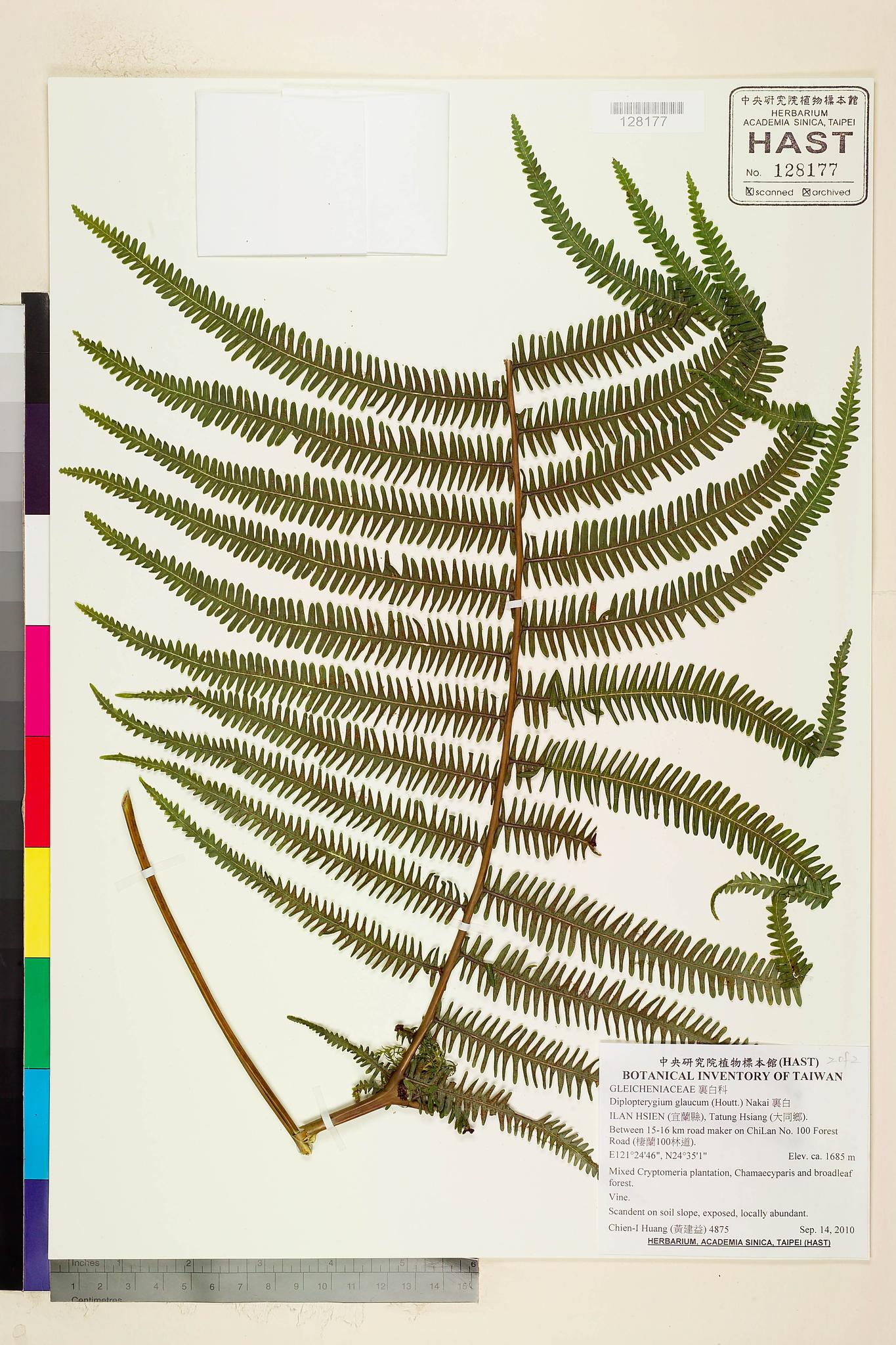 Sample image for viewer